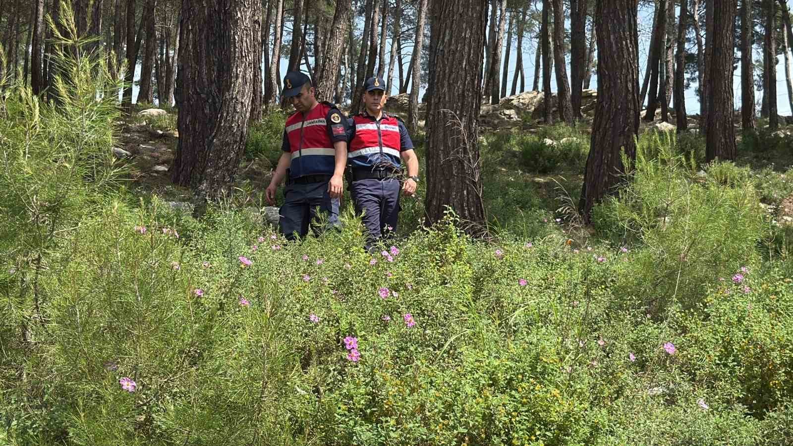 Bodrum’da Ormanlara Giriş Yasaklandı: Jandarma Termal Dronlarla Denetimde