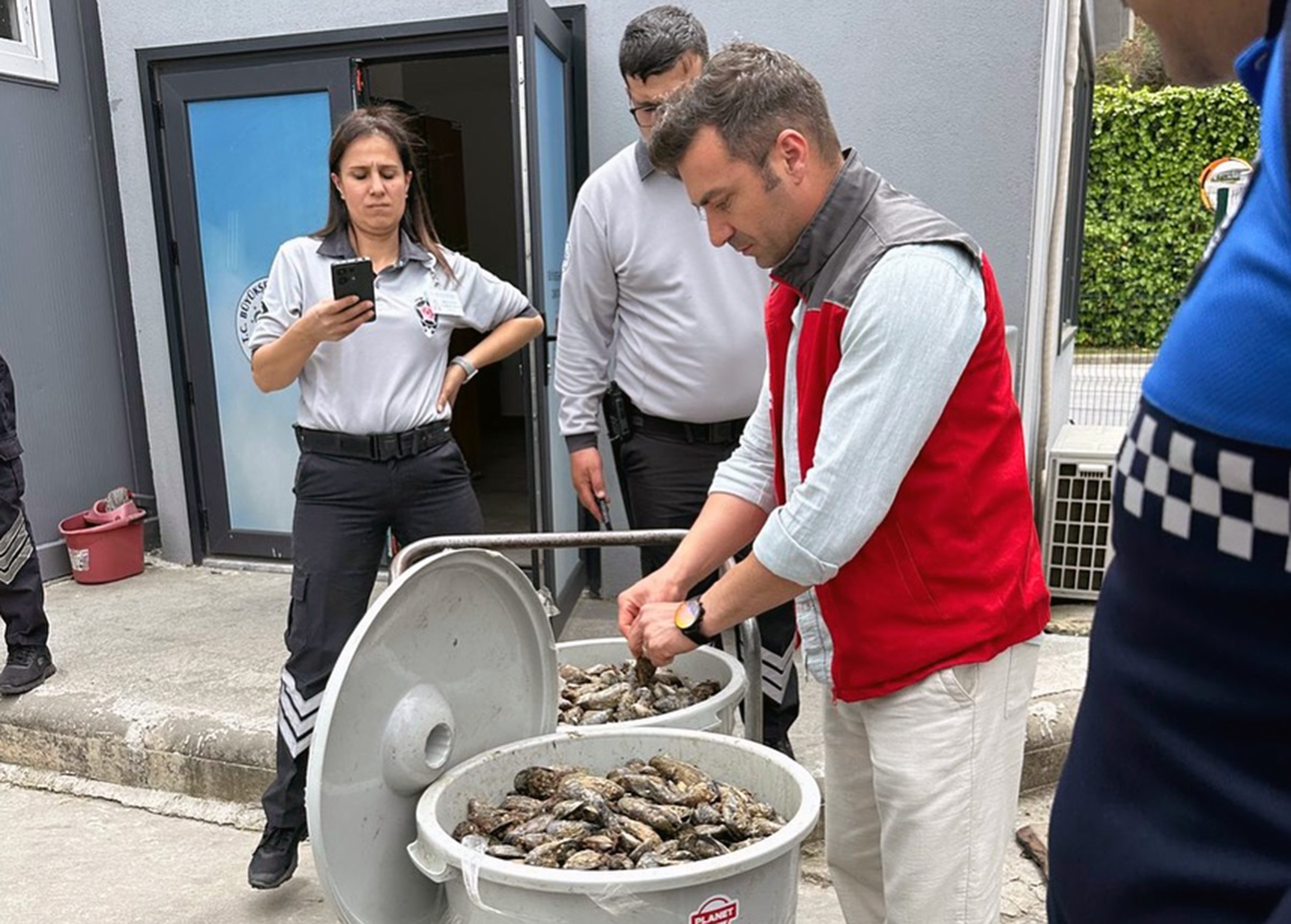 Muğla’da Midye Operasyonu: Çöp Kovasında  100 Kilo Midyeye El Kondu