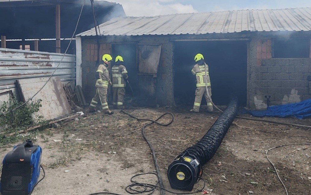Alevler Ahırı Yuttu: 42 Küçükbaş Hayvan Telef Oldu