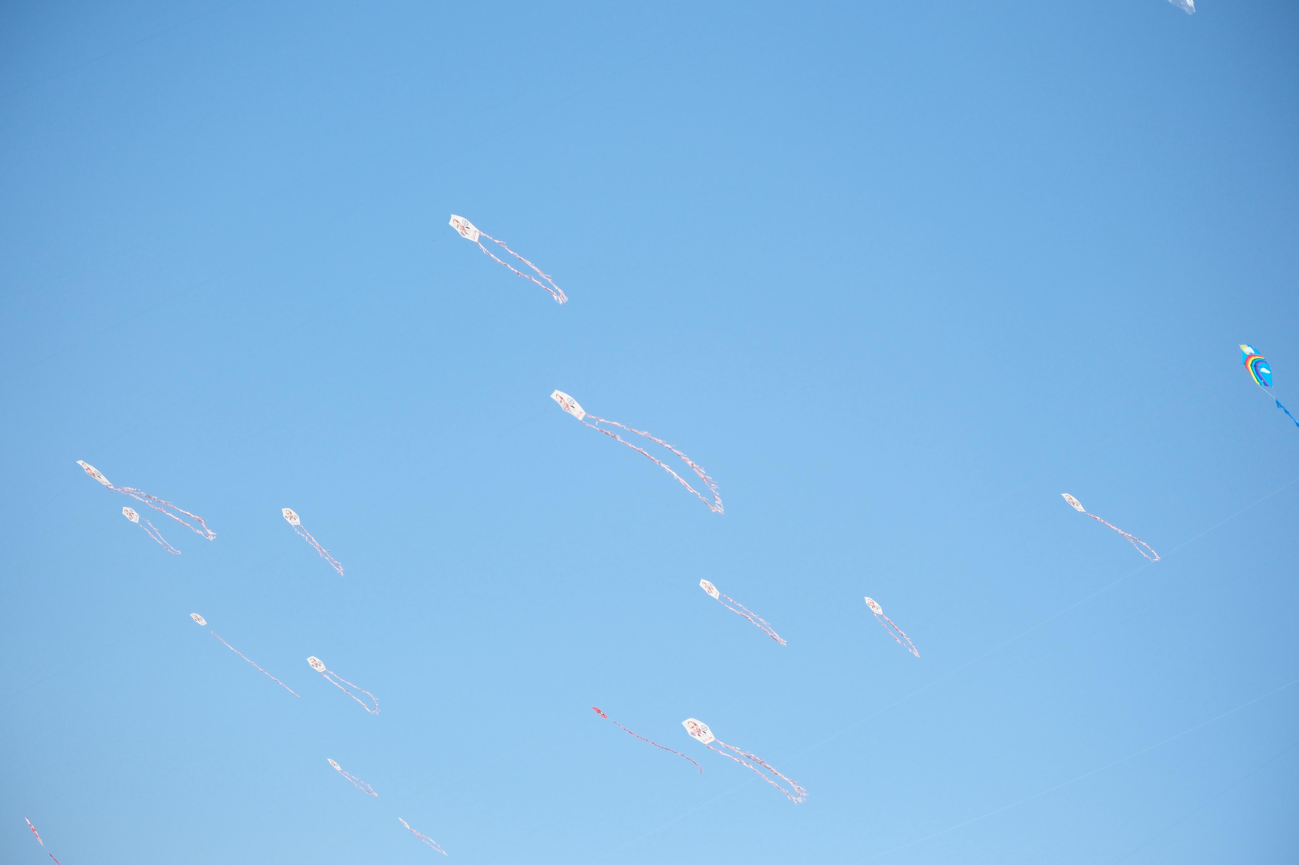 Bodrum'da Uçurtmalar Gökyüzünü Renklendirdi