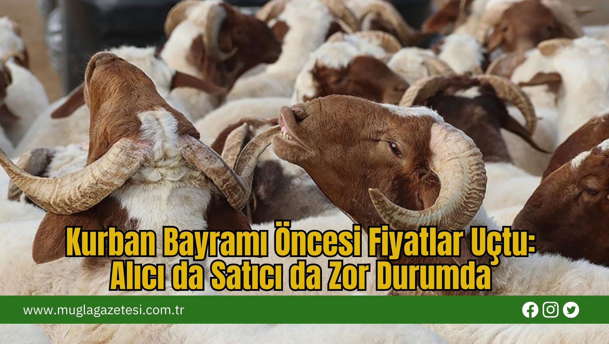 Kurban Bayramı Öncesi Fiyatlar Uçtu: Alıcı da Satıcı da Zor Durumda