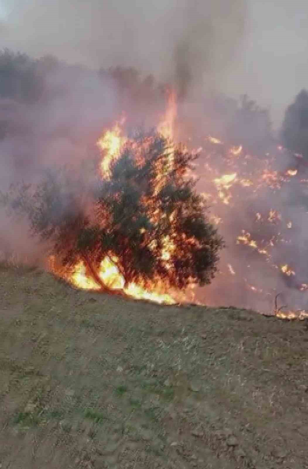 Fırtına Alevleri Büyüttü, İtfaiye Felaketi Önledi