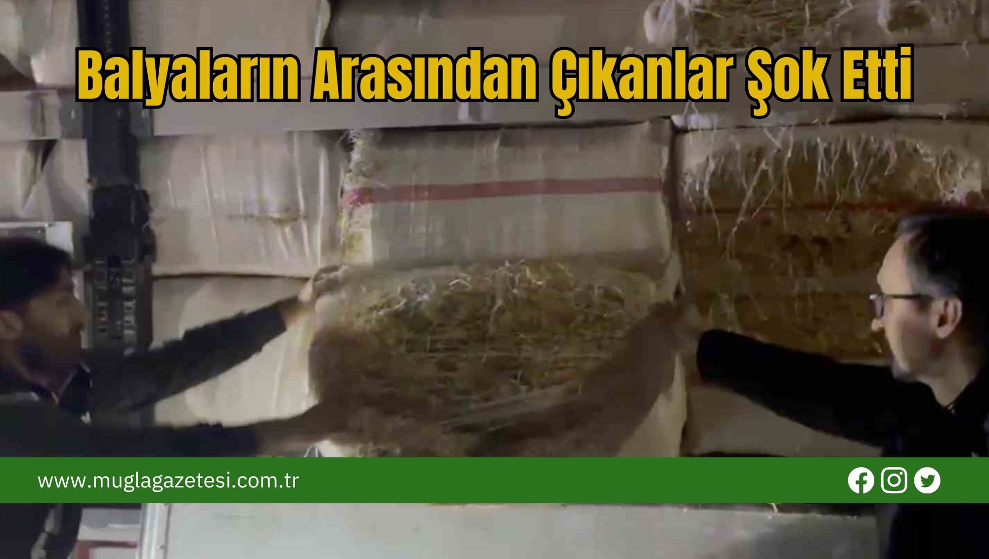 Balyaların Arasından Çıkanlar Şok Etti