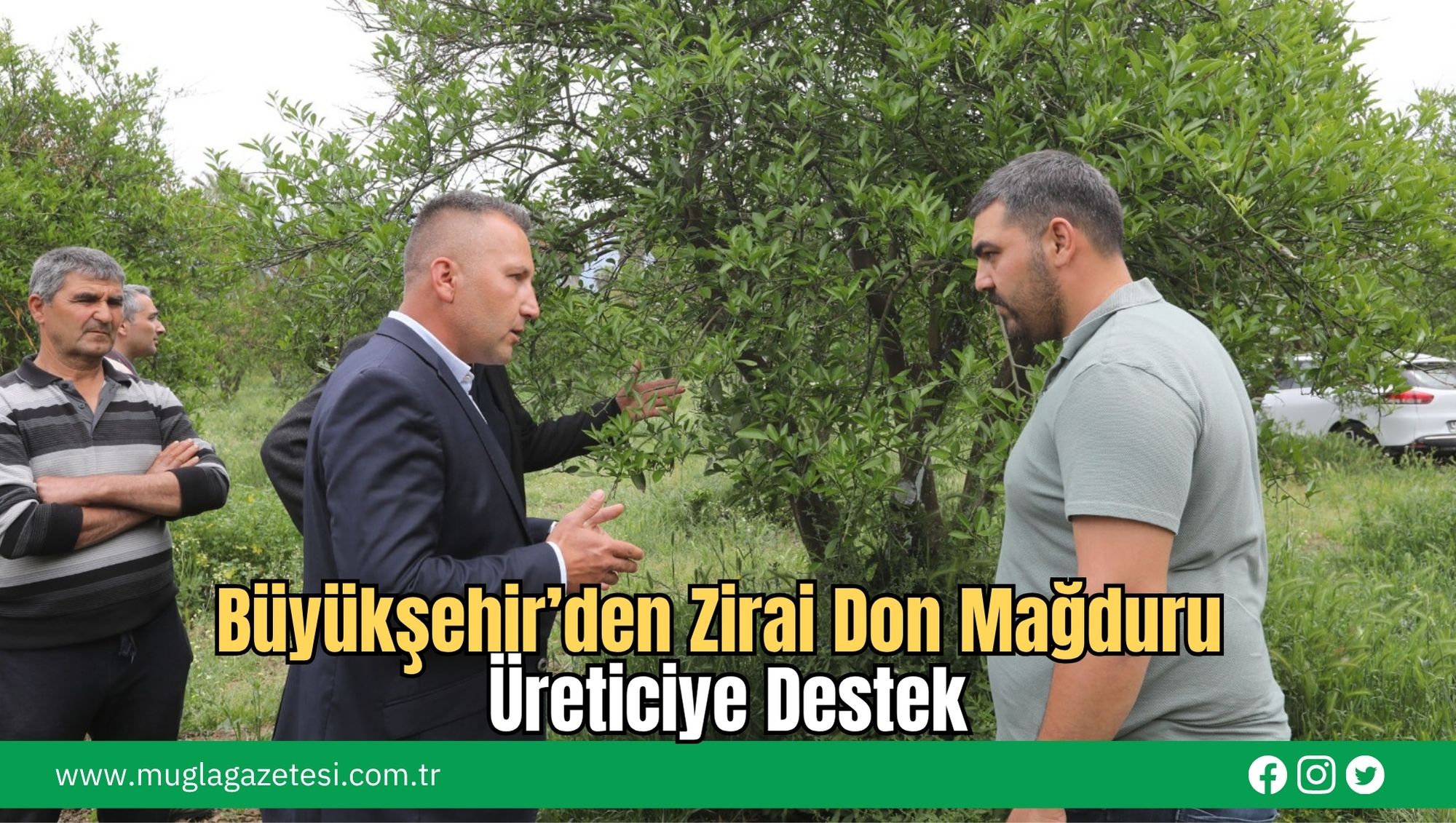 Büyükşehir’den Zirai Don Mağduru Üreticiye Destek