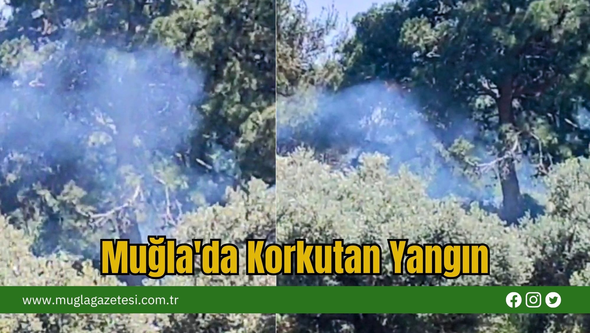 Muğla'da Korkutan Yangın