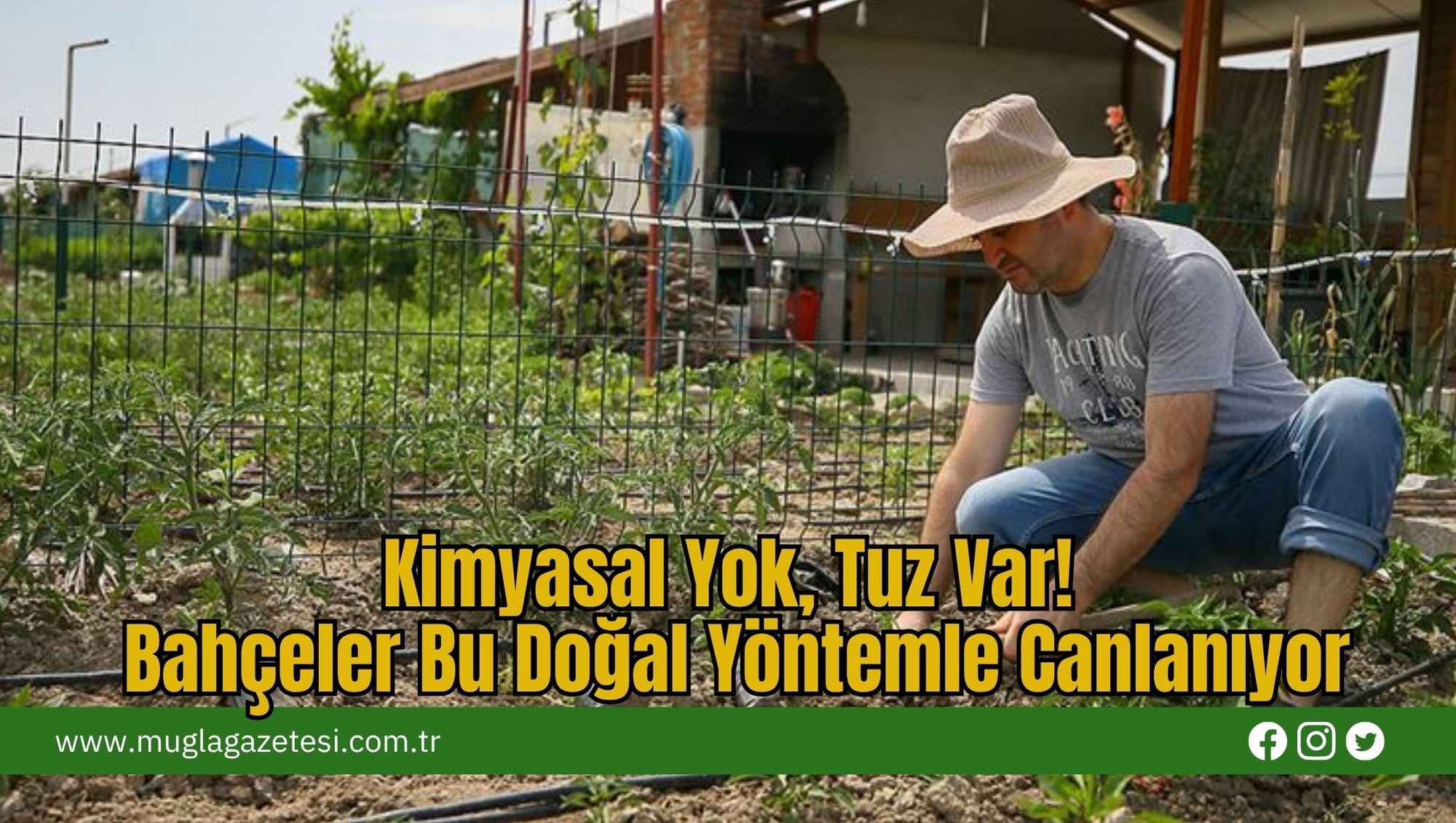 Kimyasal Yok, Tuz Var! Bahçeler Bu Doğal Yöntemle Canlanıyor