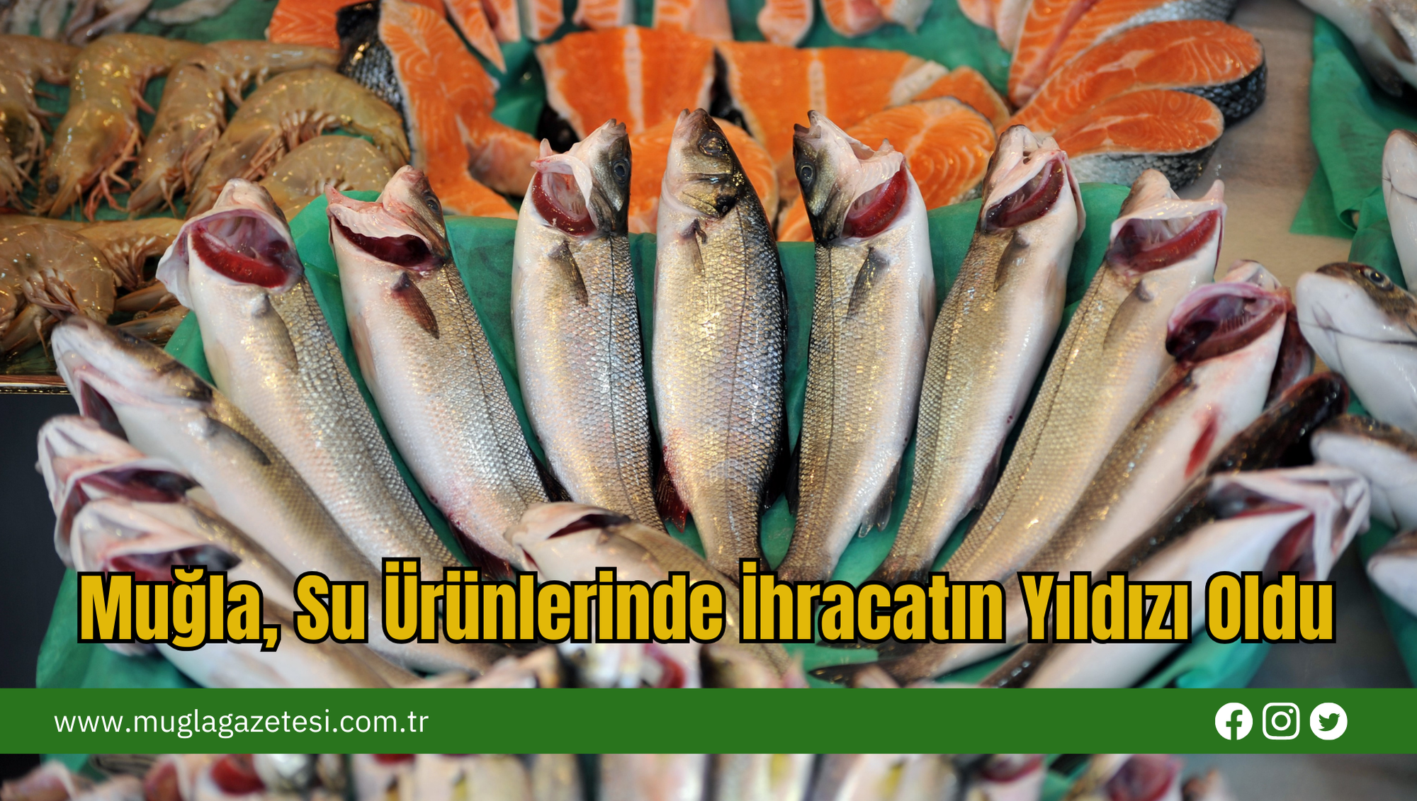 Muğla, Su Ürünlerinde İhracatın Yıldızı Oldu