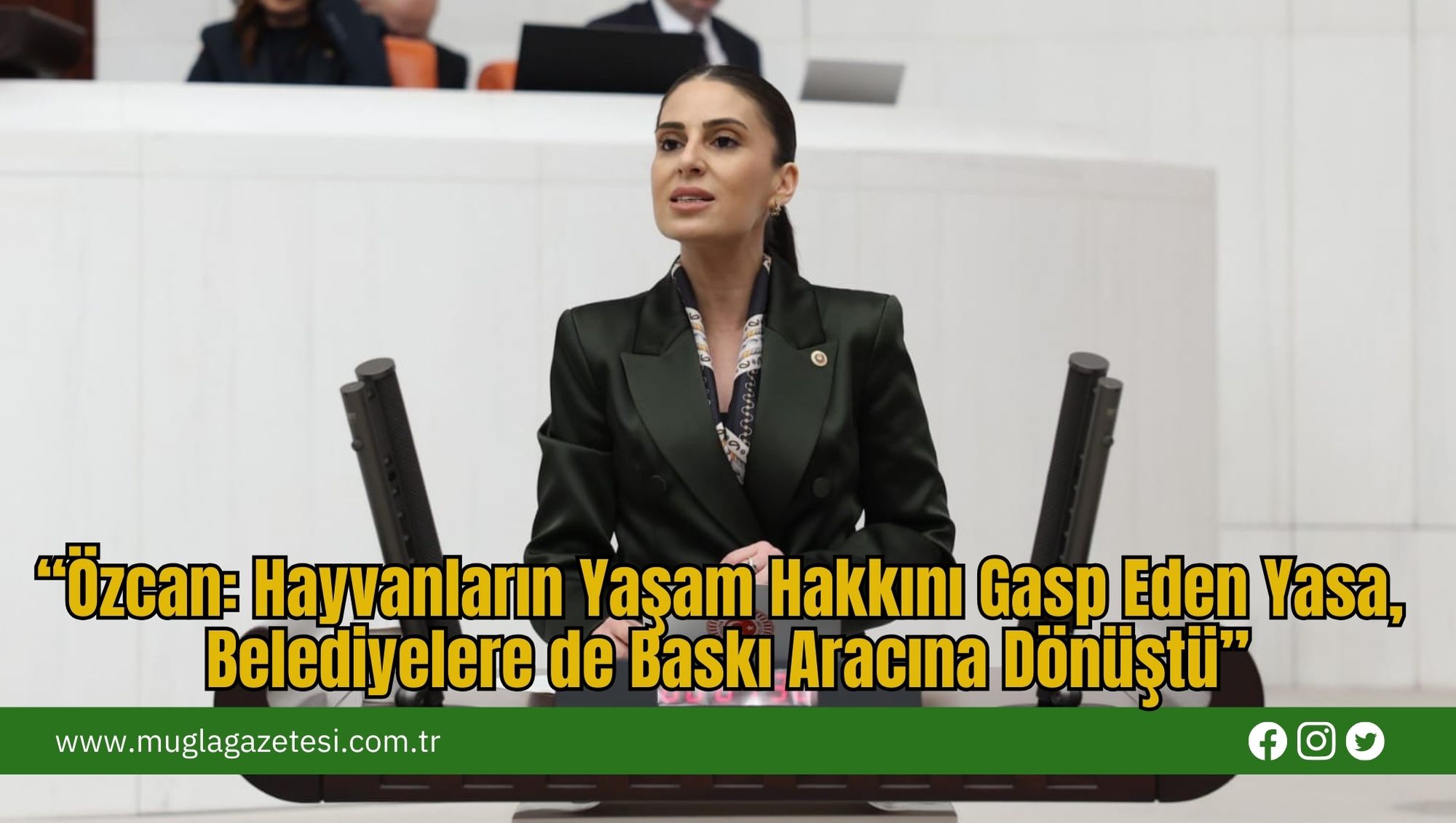 “Özcan: Hayvanların Yaşam Hakkını Gasp Eden Yasa, Belediyelere de Baskı Aracına Dönüştü”