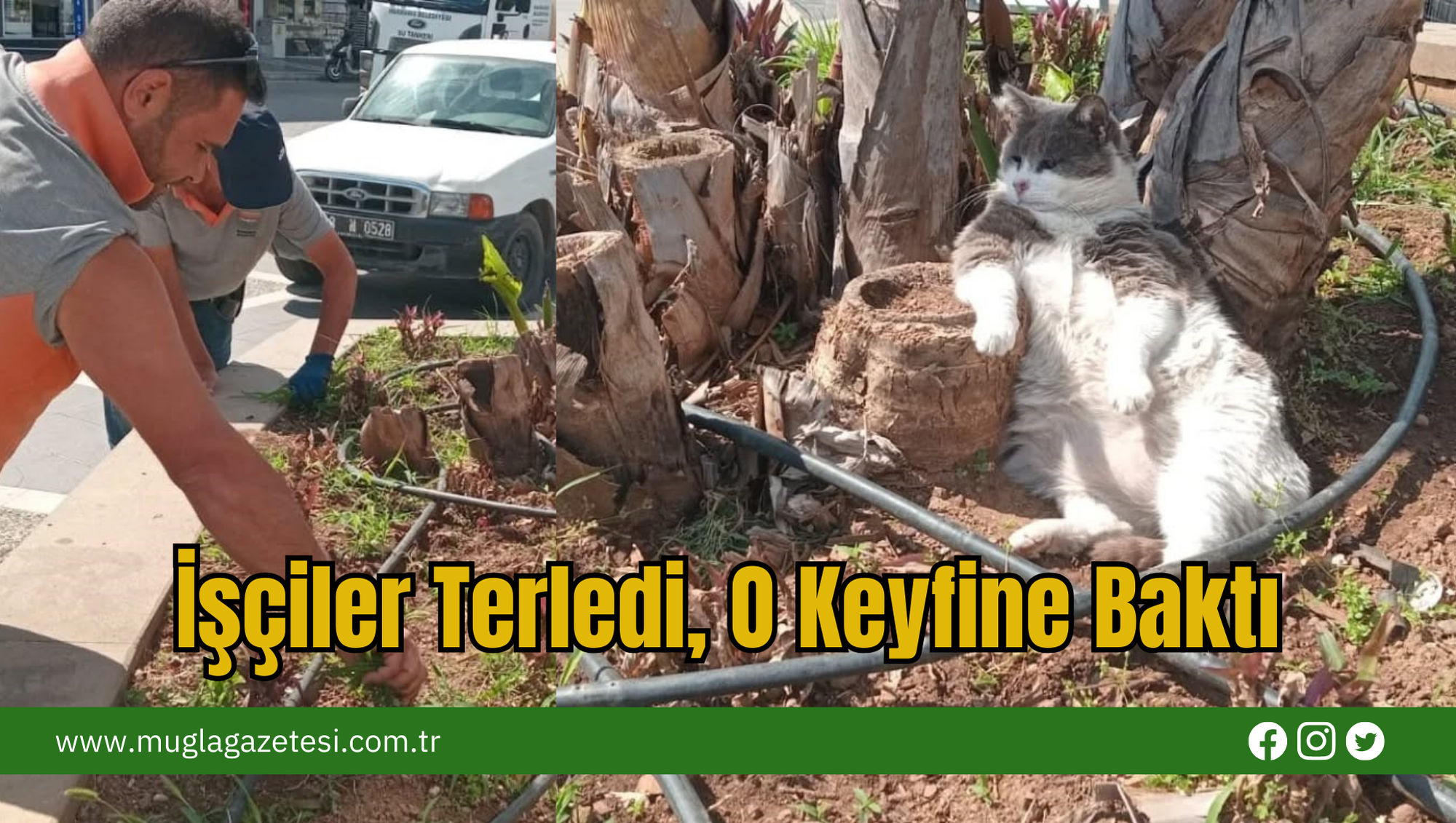 İşçiler Terledi, O Keyfine Baktı