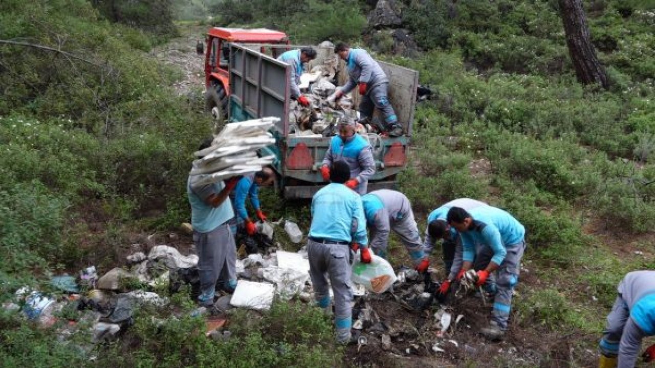 Ormanda çıkan artıklar şaşkına çevirdi