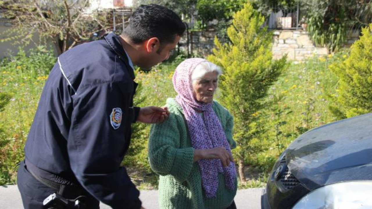 Nine yola fırladı, caddeyi trafiğe kapattı