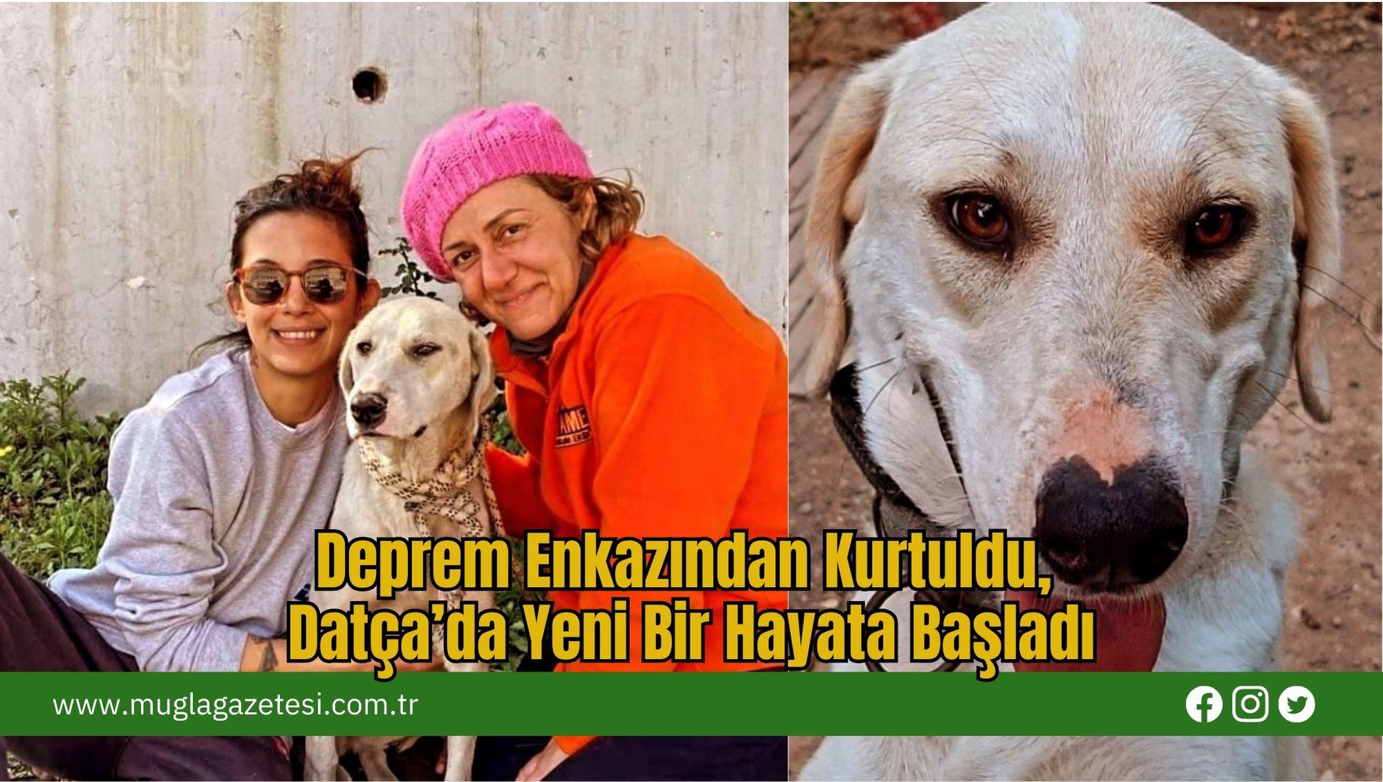 Deprem Enkazından Kurtuldu, Datça’da Yeni Bir Hayata Başladı