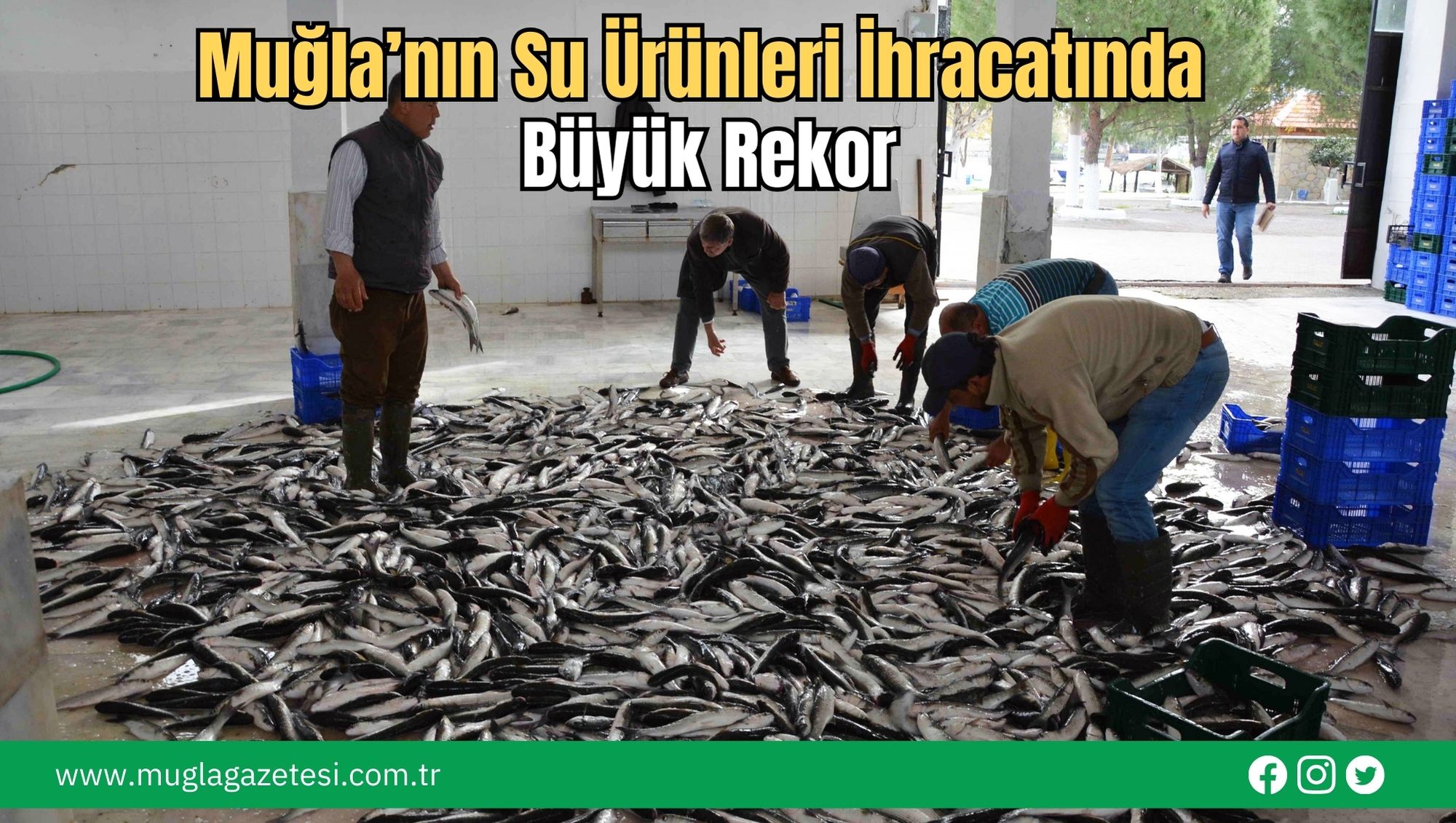 Muğla’nın Su Ürünleri İhracatında Büyük Rekor