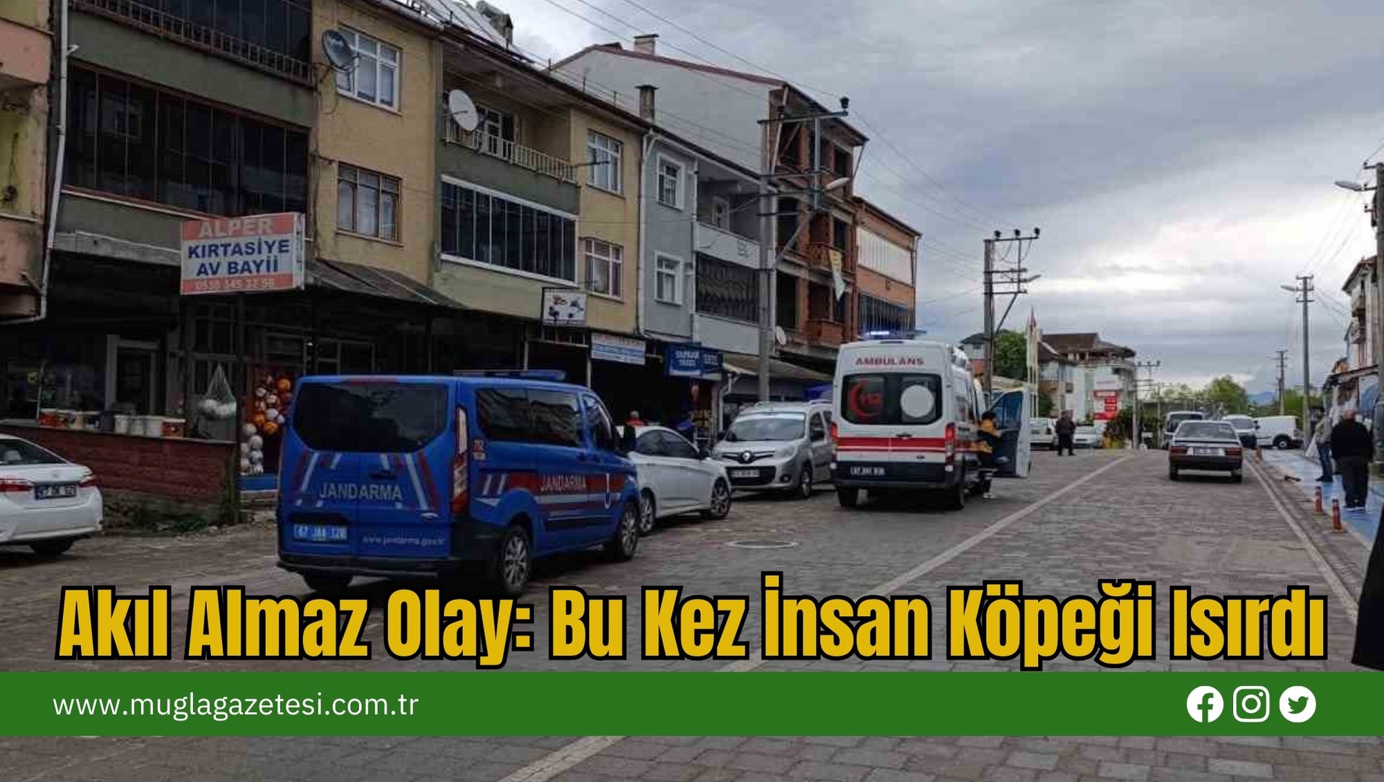 Akıl Almaz Olay: Bu Kez İnsan Köpeği Isırdı
