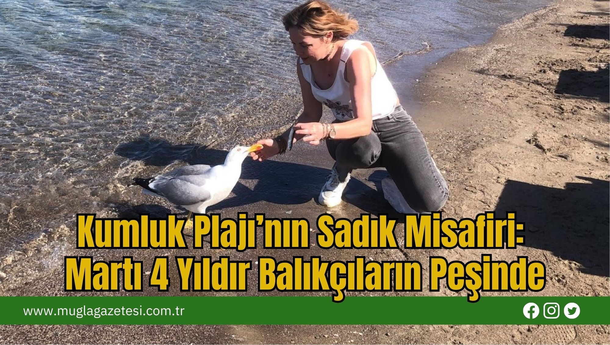 Kumluk Plajı’nın Sadık Misafiri: Martı 4 Yıldır Balıkçıların Peşinde