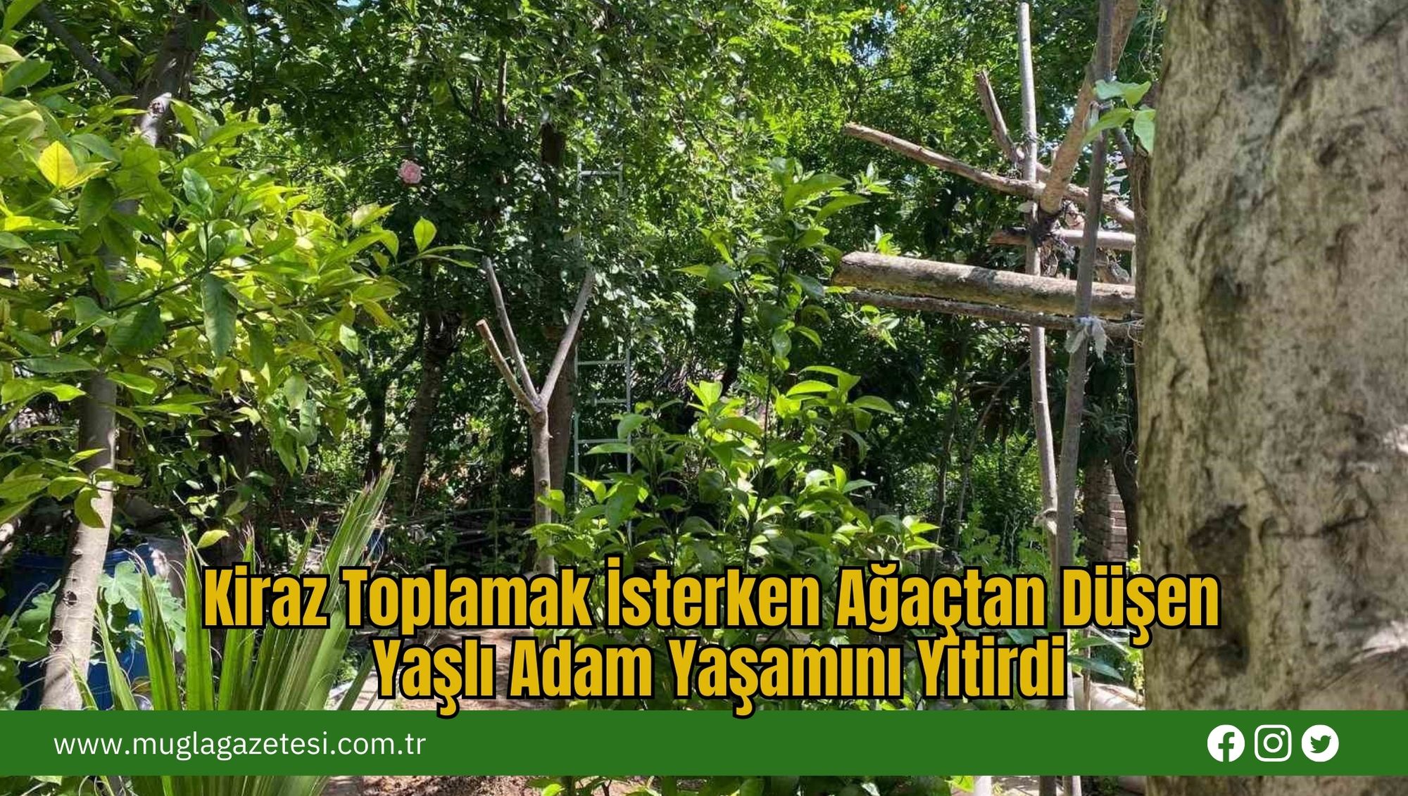 Kiraz Toplamak İsterken Ağaçtan Düşen Yaşlı Adam Yaşamını Yitirdi