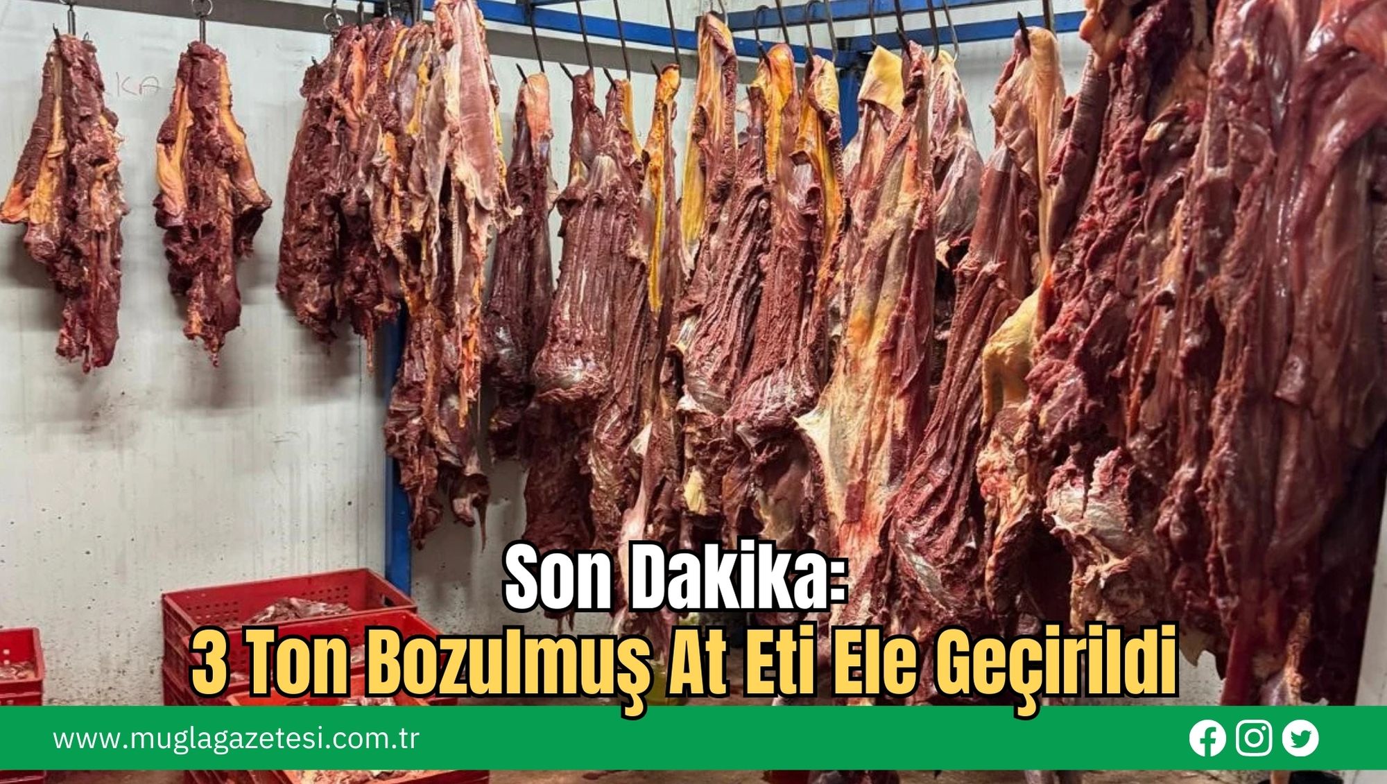 Son Dakika: 3 Ton Bozulmuş At Eti Ele Geçirildi