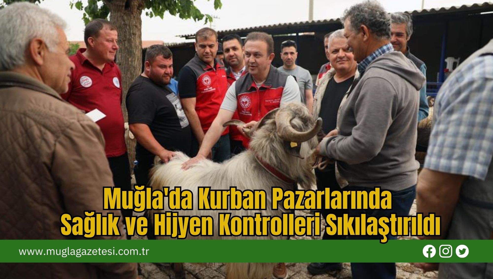 Muğla'da Kurban Pazarlarında Sağlık ve Hijyen Kontrolleri Sıkılaştırıldı
