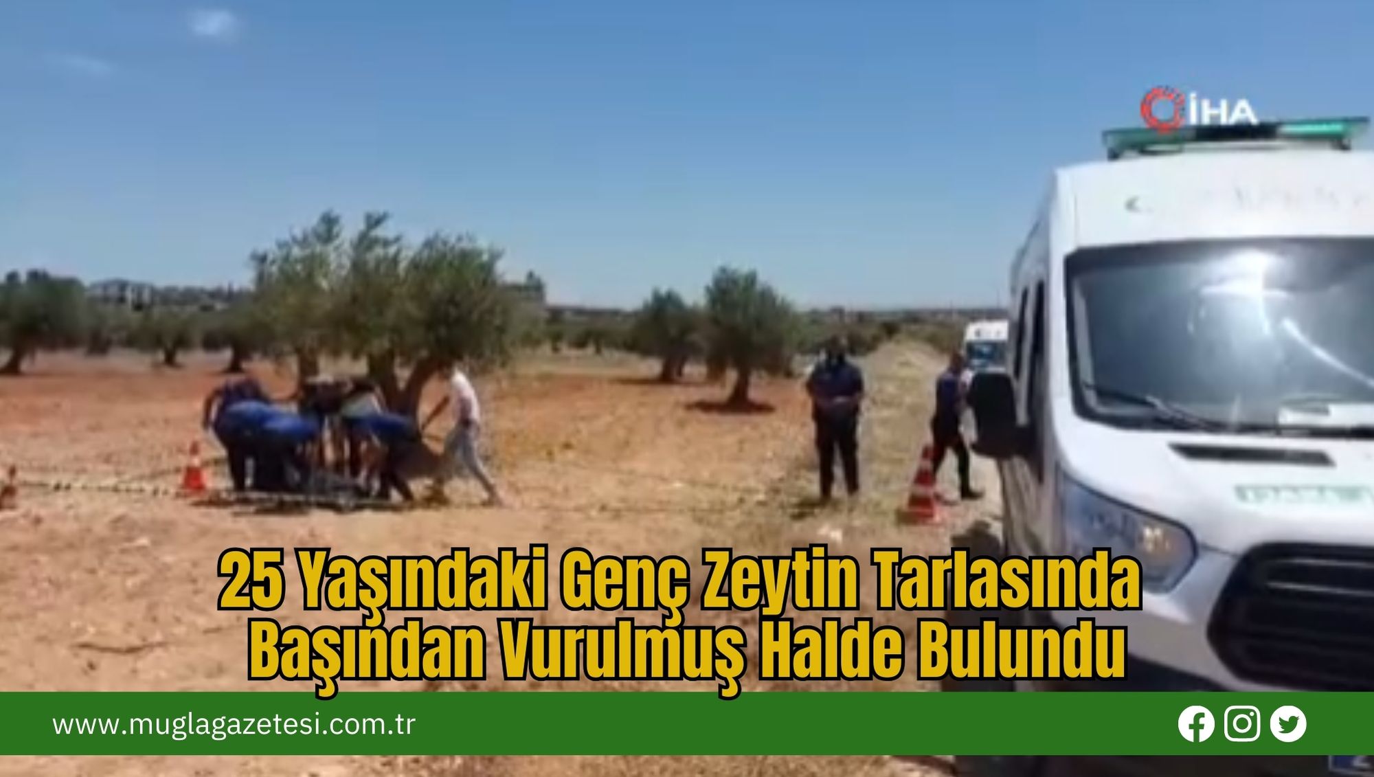 25 Yaşındaki Genç Zeytin Tarlasında Başından Vurulmuş Halde Bulundu