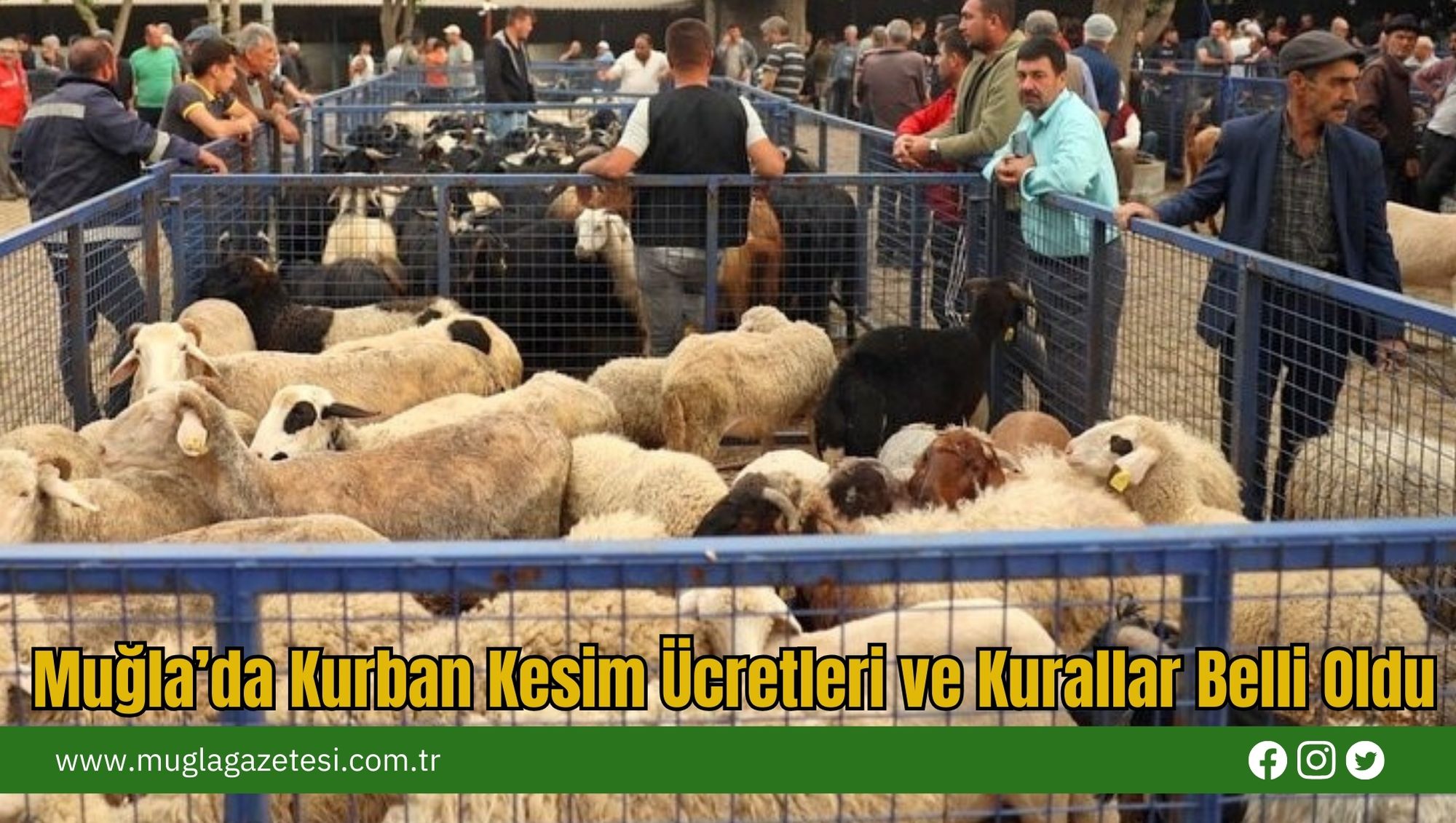 Muğla’da Kurban Kesim Ücretleri ve Kurallar Belli Oldu