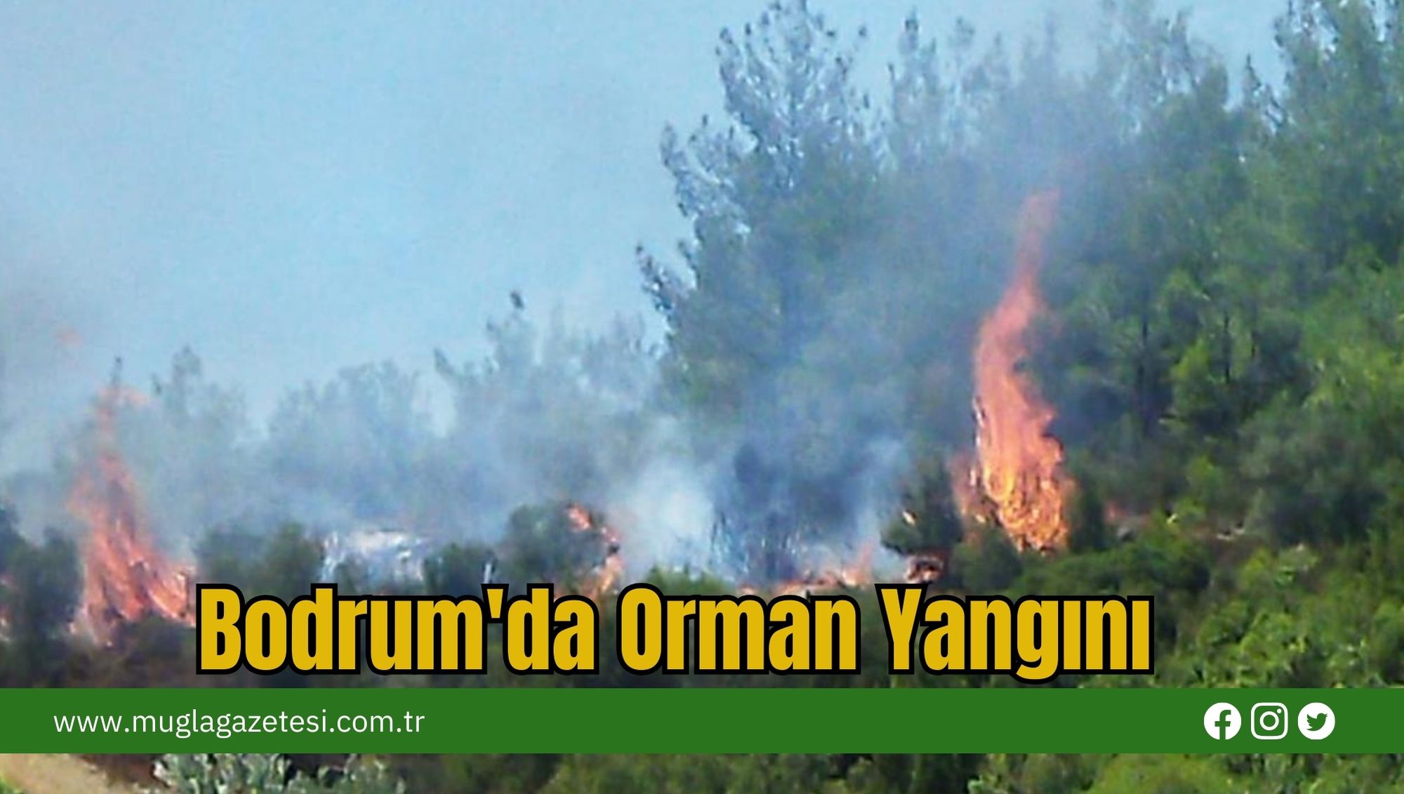 Bodrum'da Orman Yangını