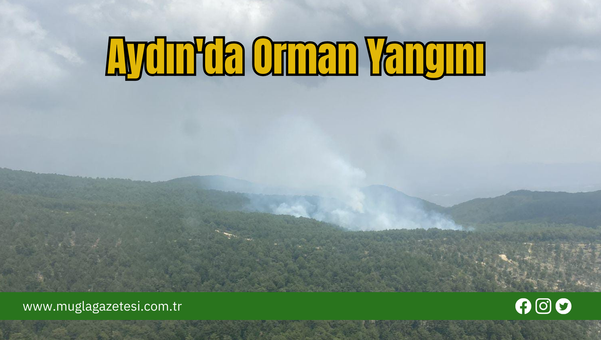 Aydın'da Orman Yangını