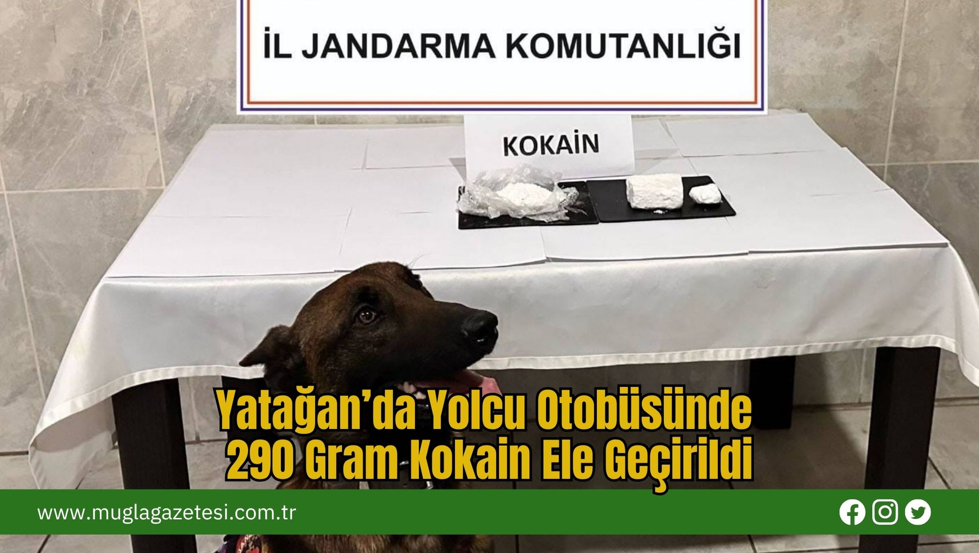 Yatağan’da Yolcu Otobüsünde 290 Gram Kokain Ele Geçirildi