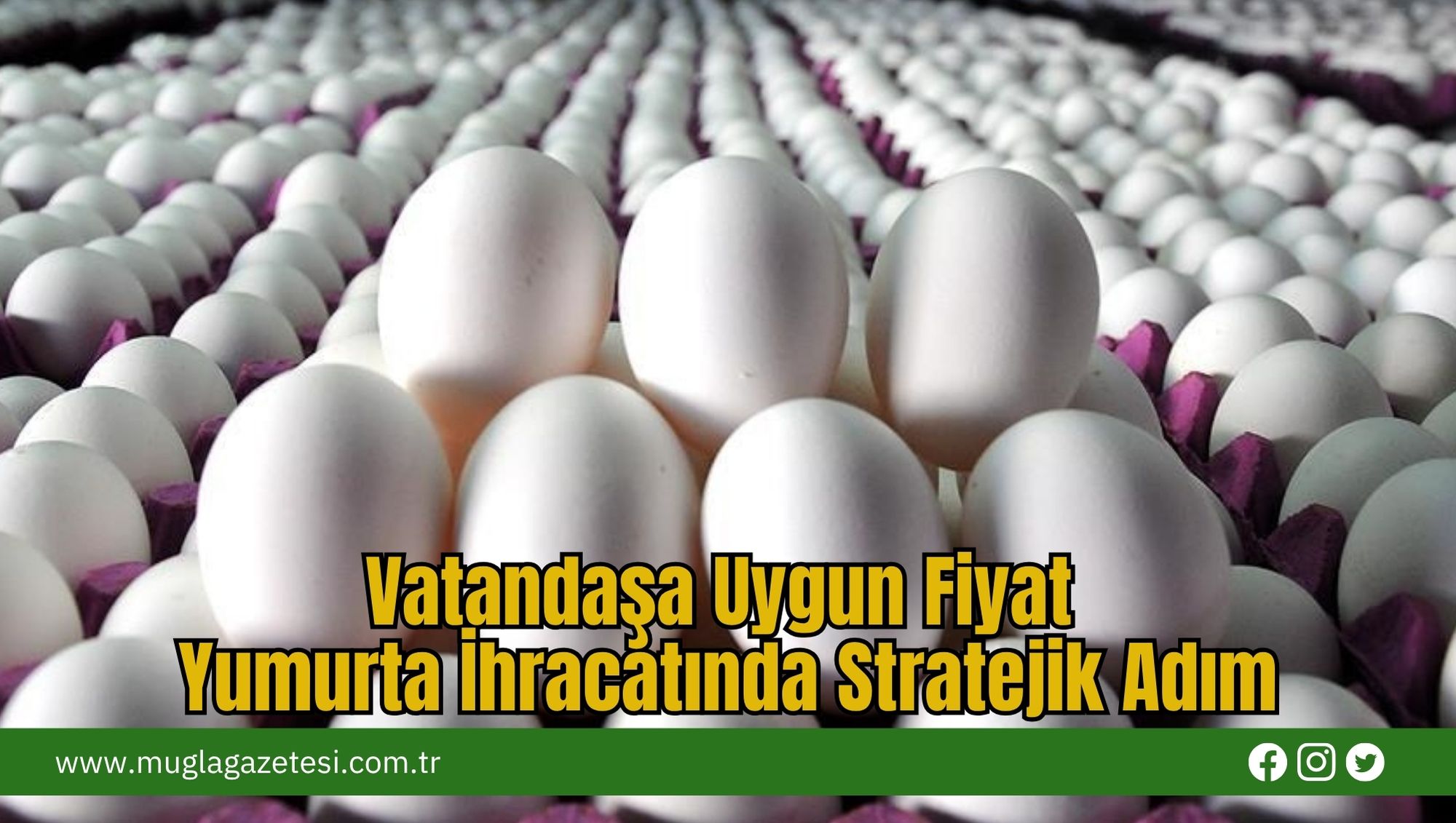 Vatandaşa Uygun Fiyat Yumurta İhracatında Stratejik Adım