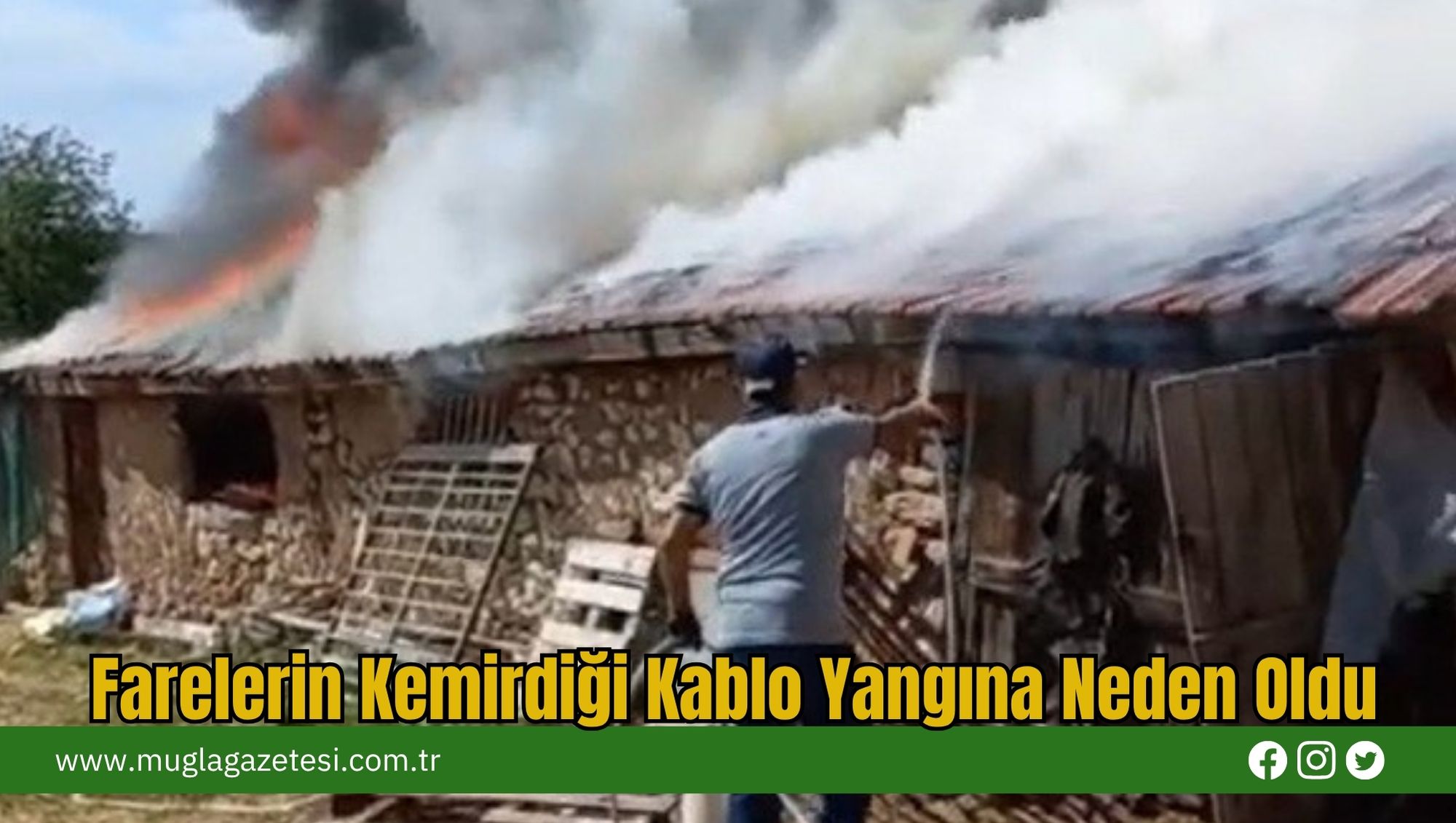 Farelerin Kemirdiği Kablo Yangına Neden Oldu