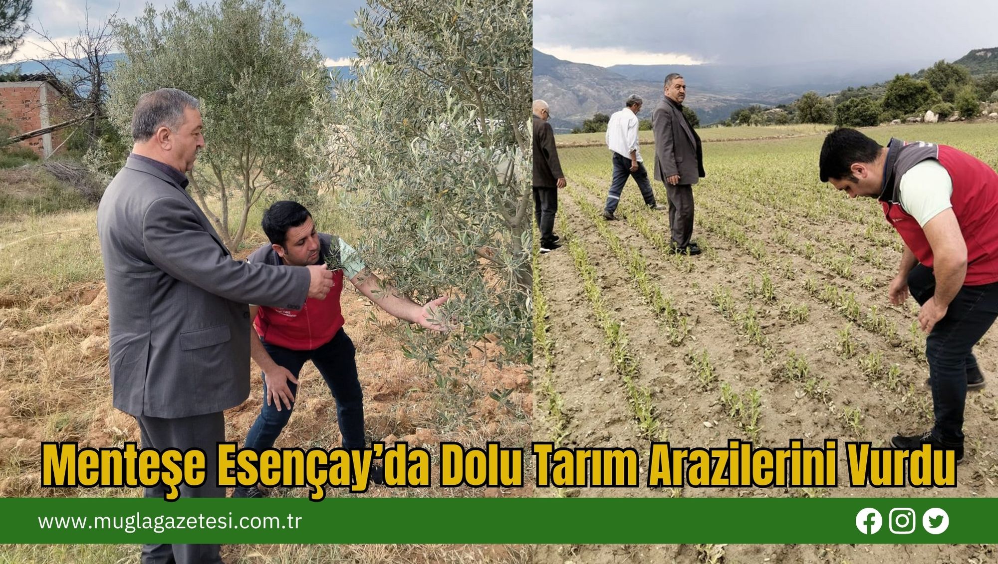 Menteşe Esençay’da Dolu Tarım Arazilerini Vurdu