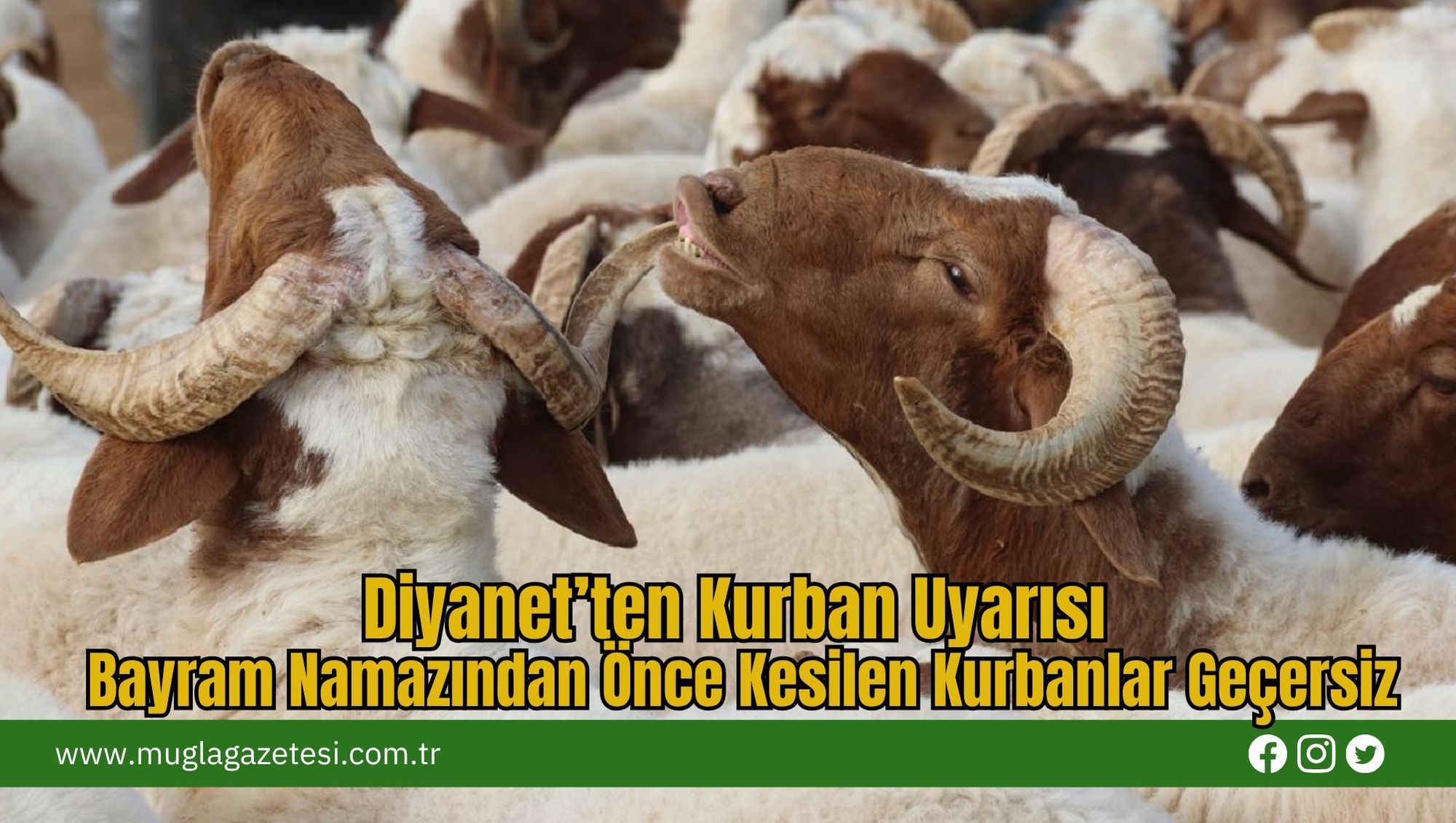 Diyanet’ten Kurban Uyarısı: Bayram Namazından Önce Kesilen Kurbanlar Geçersiz