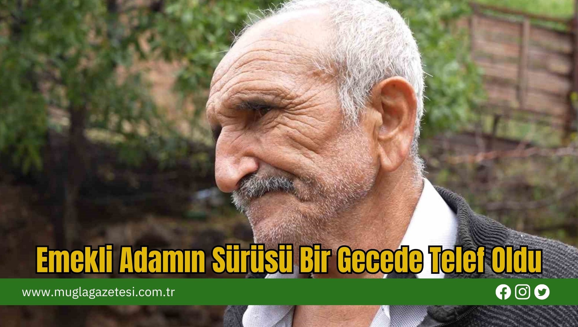 Emekli Adamın Sürüsü Bir Gecede Telef Oldu