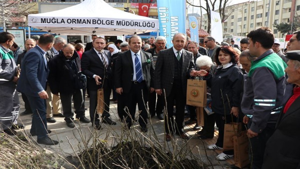 Orman Haftasında Fidan Dağıtıldı ve Lokma Döküdü