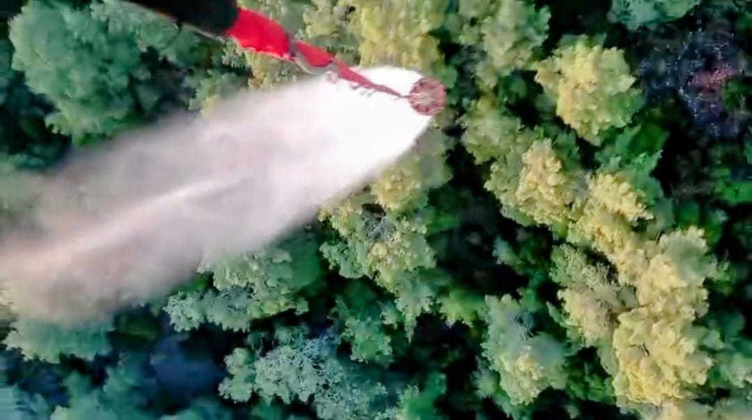 Muğla’da Alevlerle Mücadele