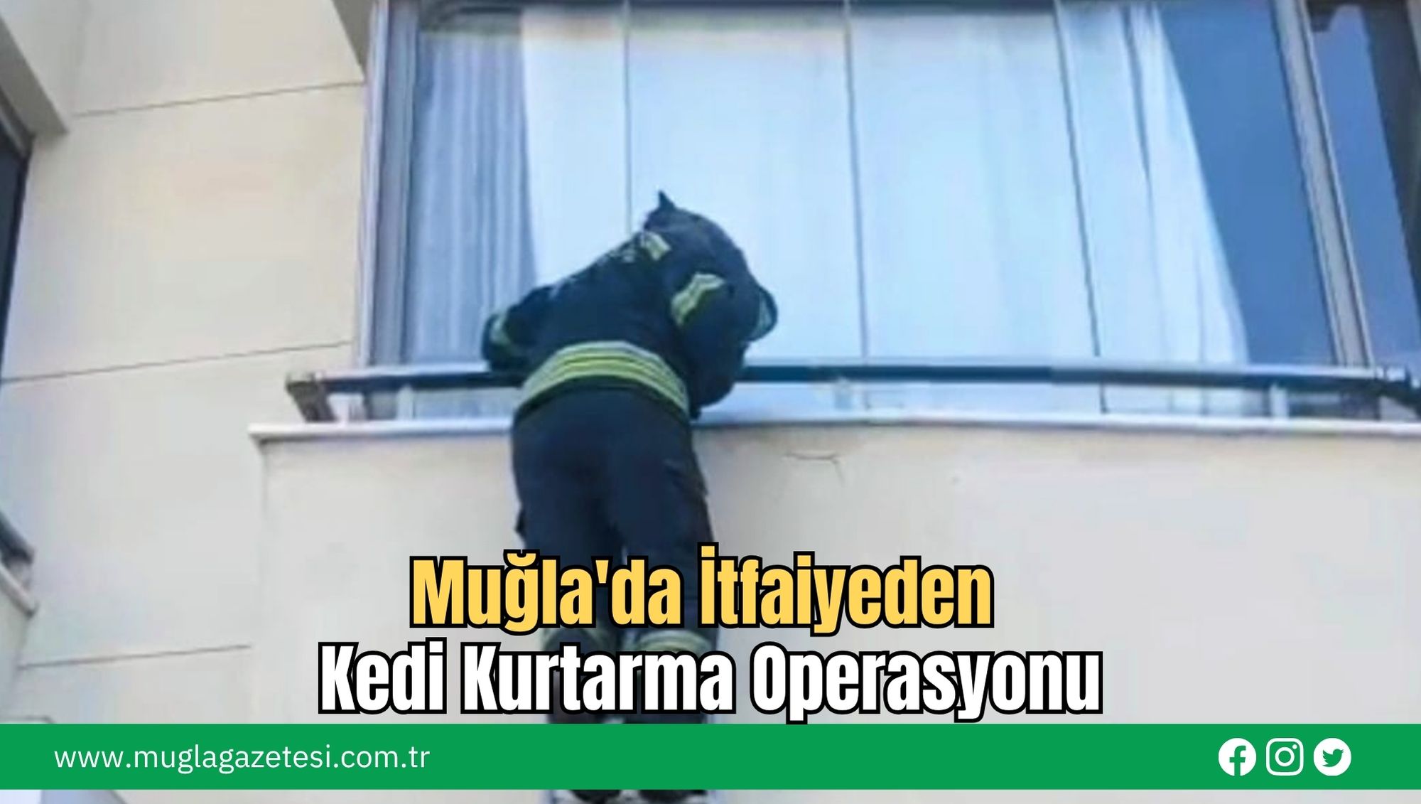 Muğla'da İtfaiyeden Kedi Kurtarma Operasyonu