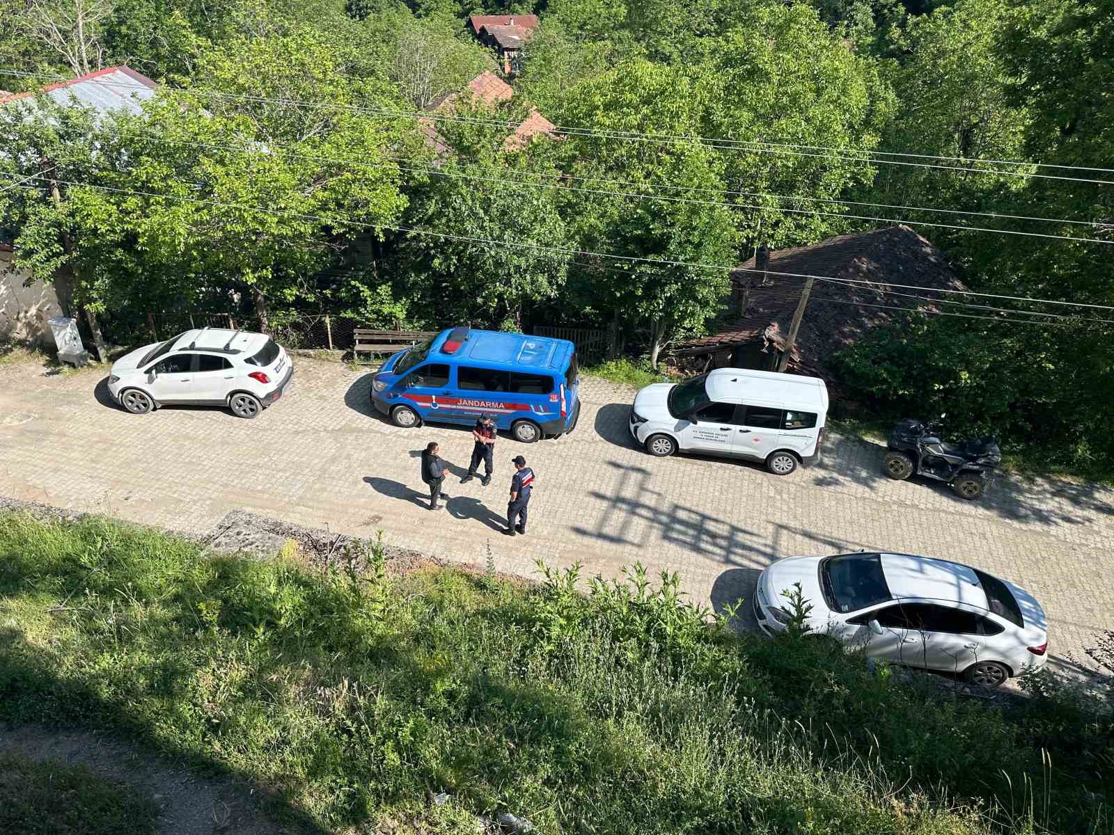 Köpek Ölümleri Şüphe Uyandırdı: Jandarma Soruşturma Başlattı