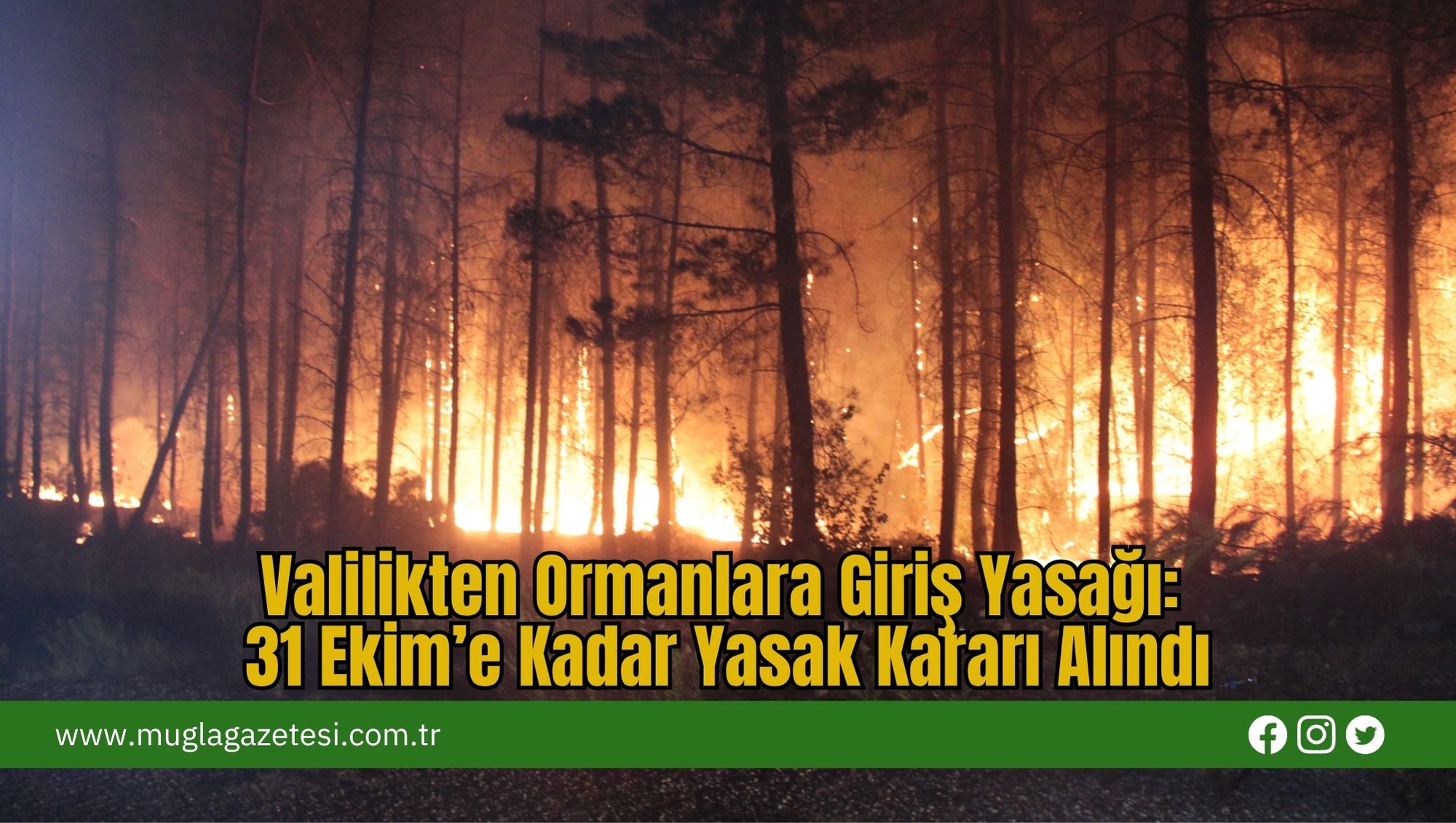 Valilikten Ormanlara Giriş Yasağı: 31 Ekim’e Kadar Yasak Kararı Alındı