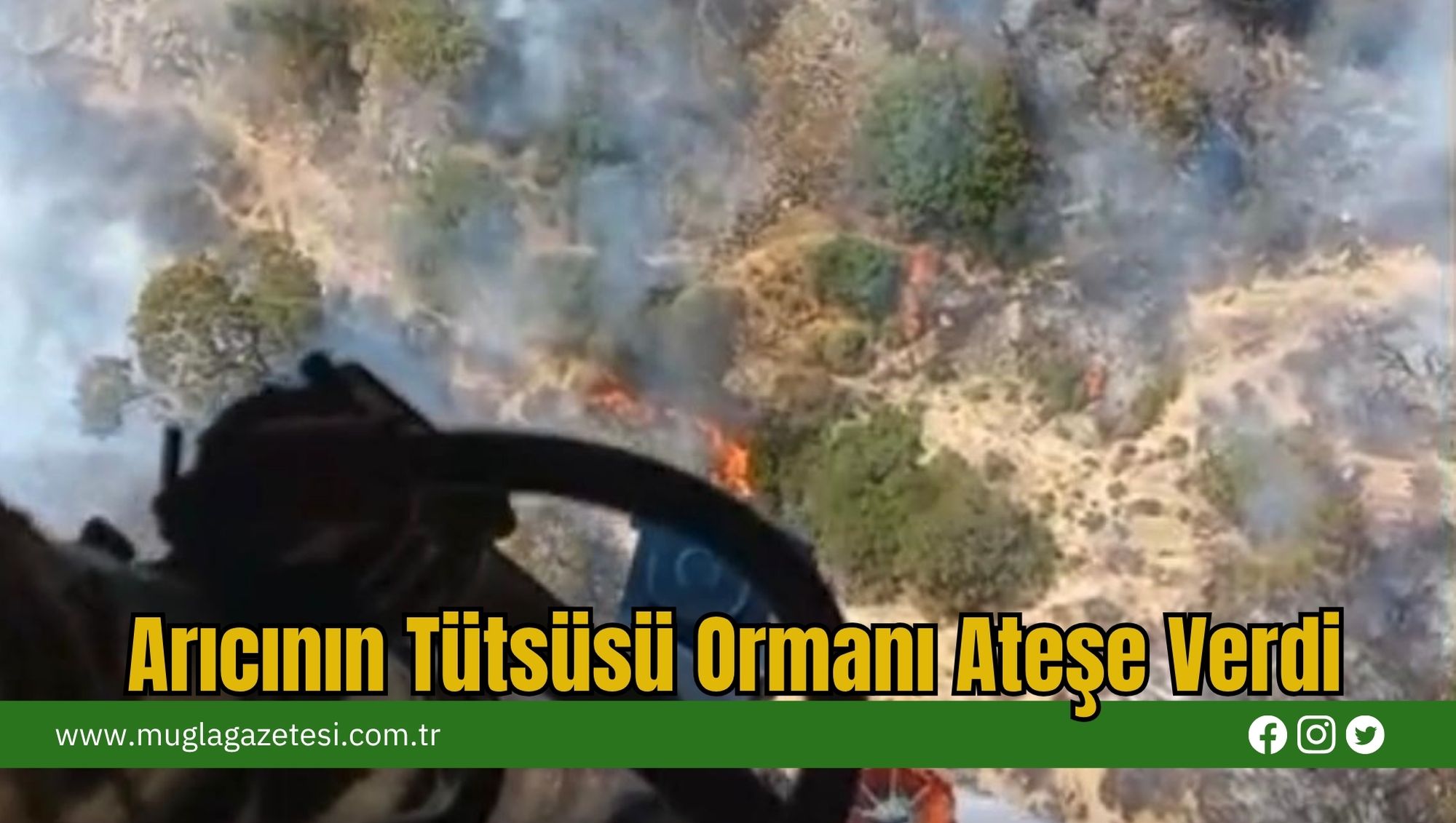 Arıcının Tütsüsü Ormanı Ateşe Verdi