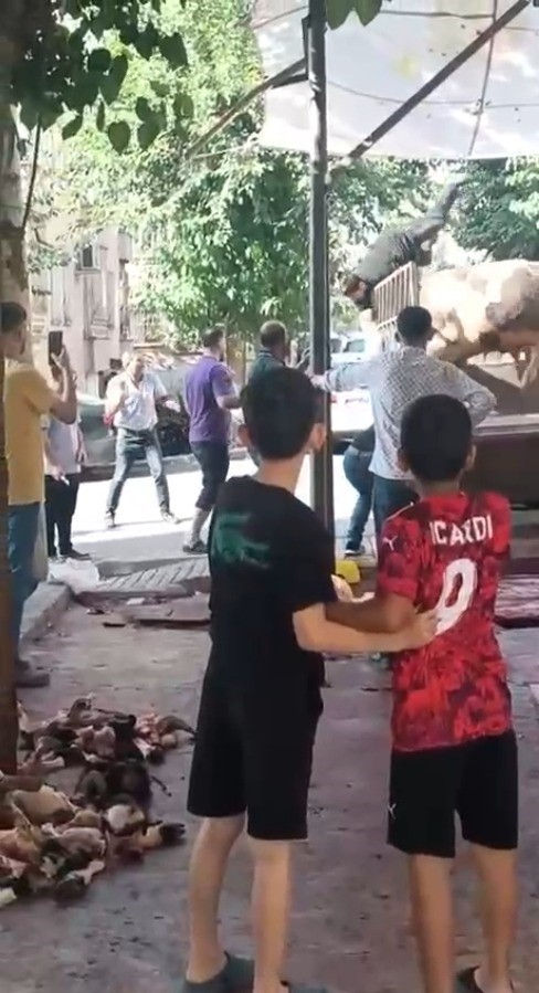 Kızgın Boğa Sahibine Saldırdı