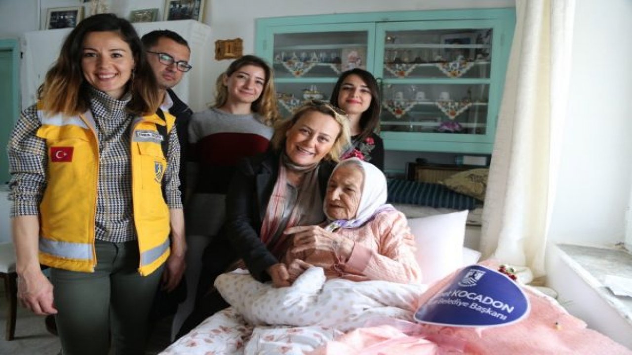 Bodrum'un çınarlarına ziyaretler