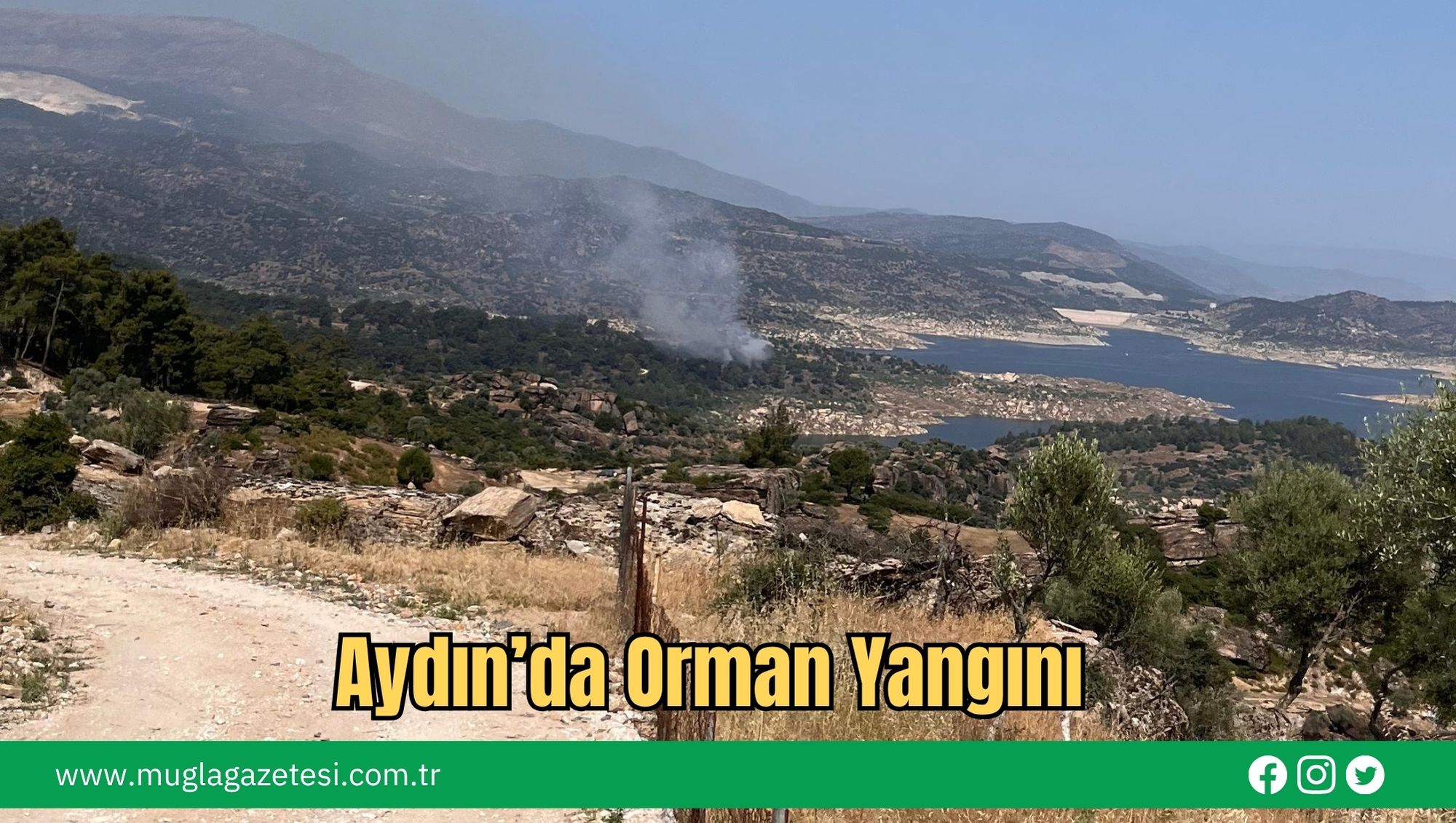 Aydın’da Orman Yangını