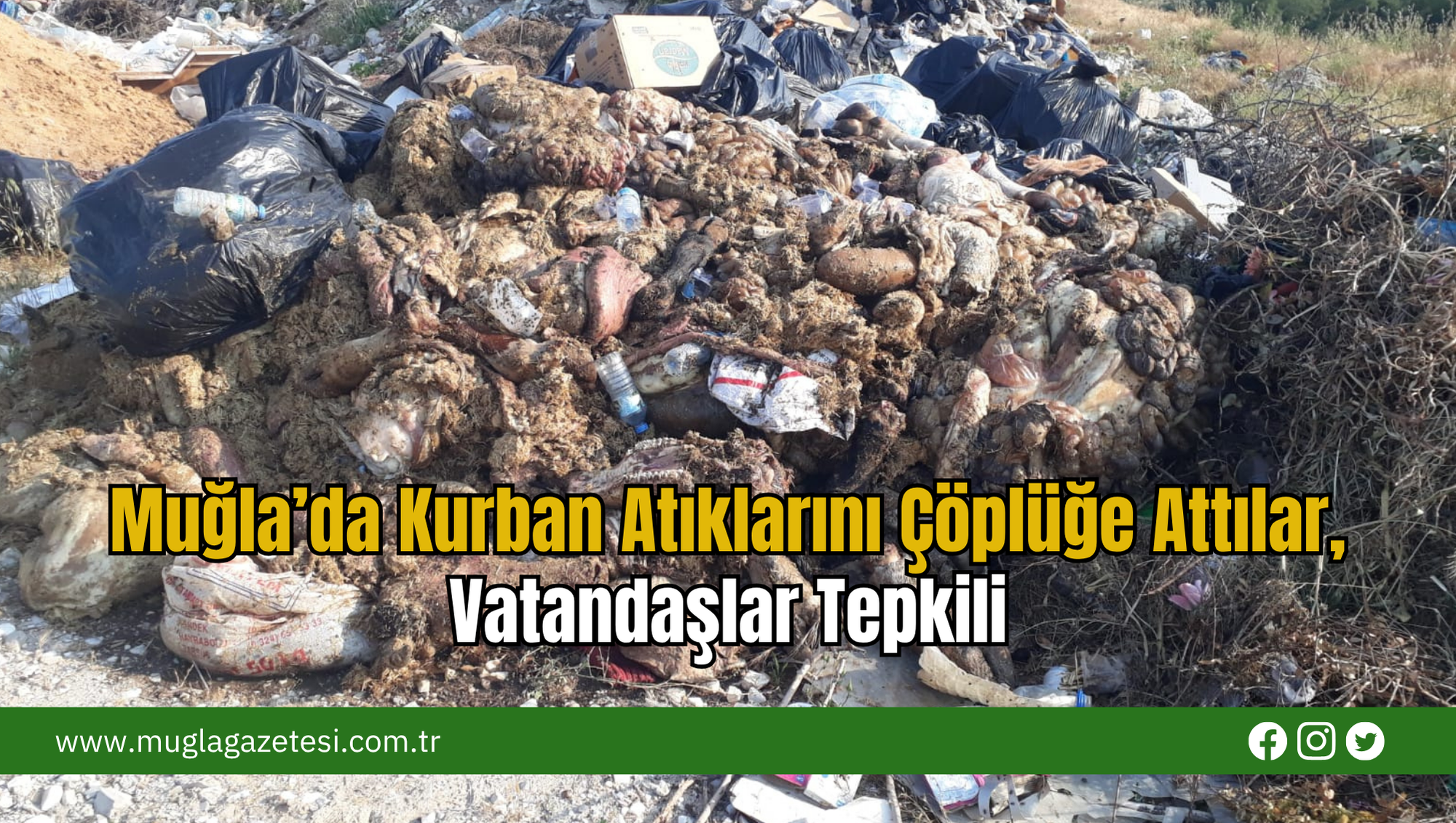 Muğla’da Kurban Atıklarını Çöplüğe Attılar, Vatandaşlar Tepkili
