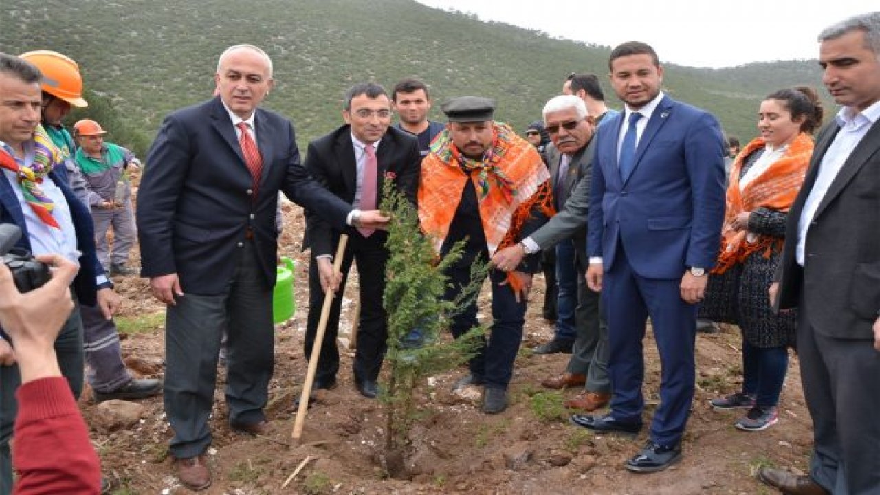 ‘Hatıra ormanı’ oluşturuldu