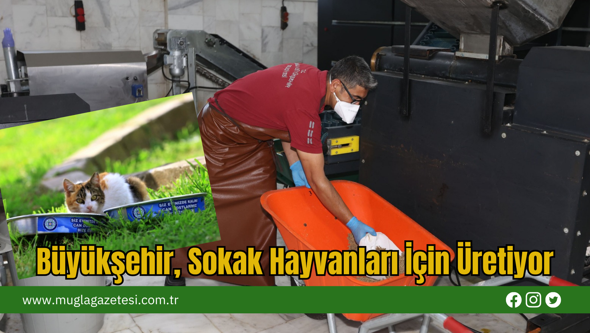 Büyükşehir, Sokak Hayvanları İçin Üretiyor