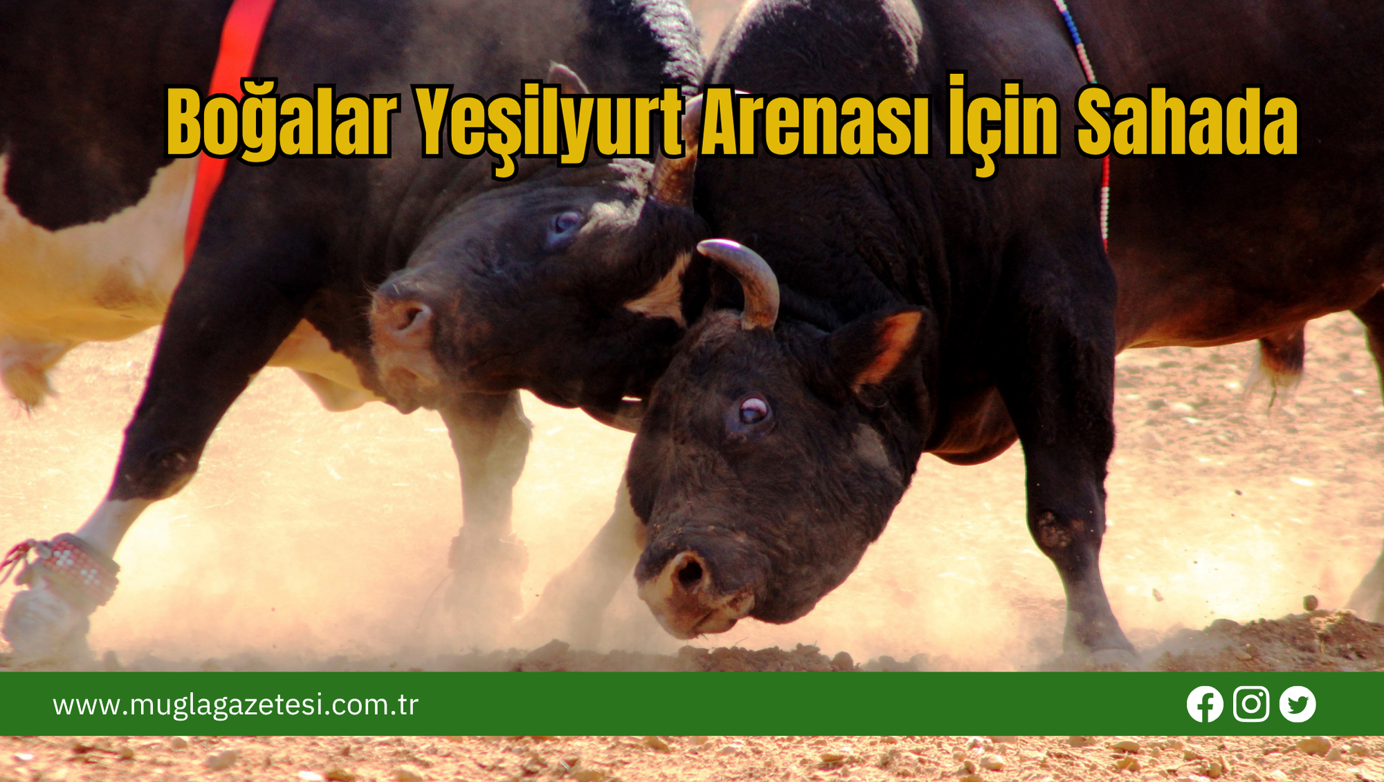 Boğalar Yeşilyurt Arenası İçin Sahada
