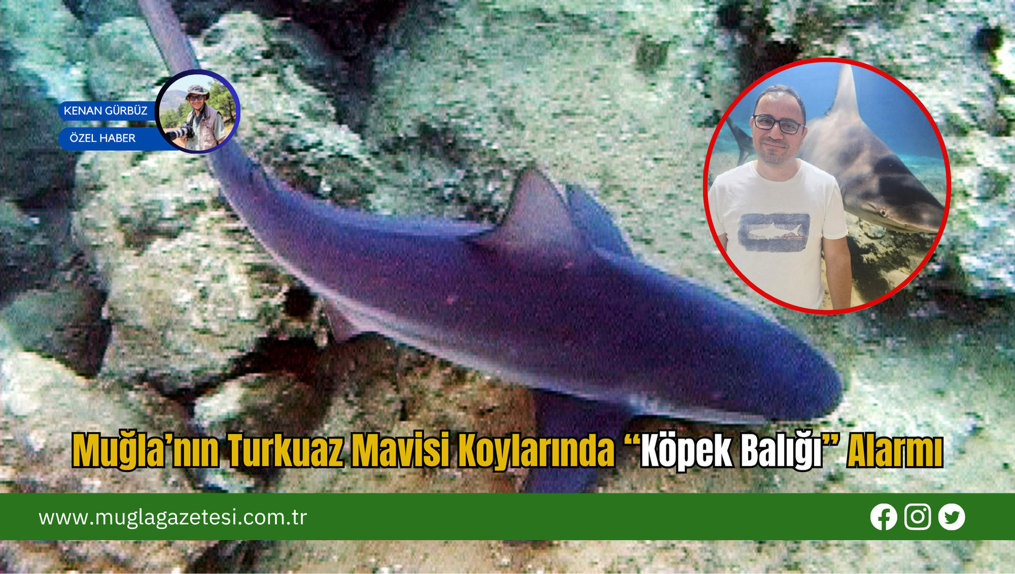 Muğla’nın Turkuaz Mavisi Koylarında “Köpek Balığı” Alarmı