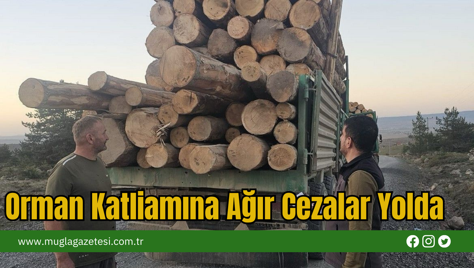 Orman Katliamına Ağır Cezalar Yolda