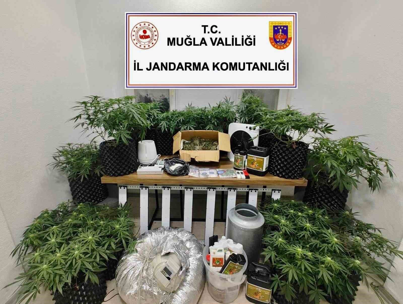 Bodrum'da Jandarmadan Yasaklı Madde Operasyonu: 1 Tutuklama