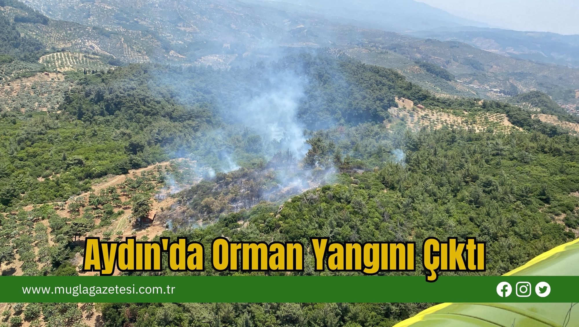 Aydın'da Orman Yangını Çıktı