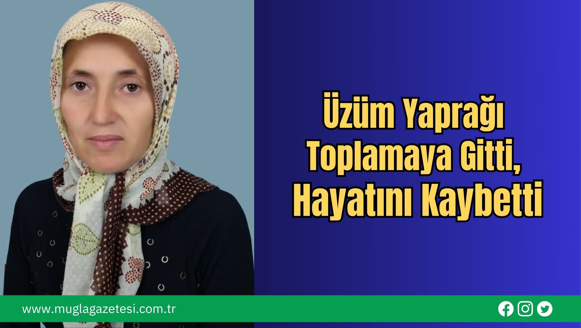 Üzüm Yaprağı Toplamaya Gitti, Hayatını Kaybetti